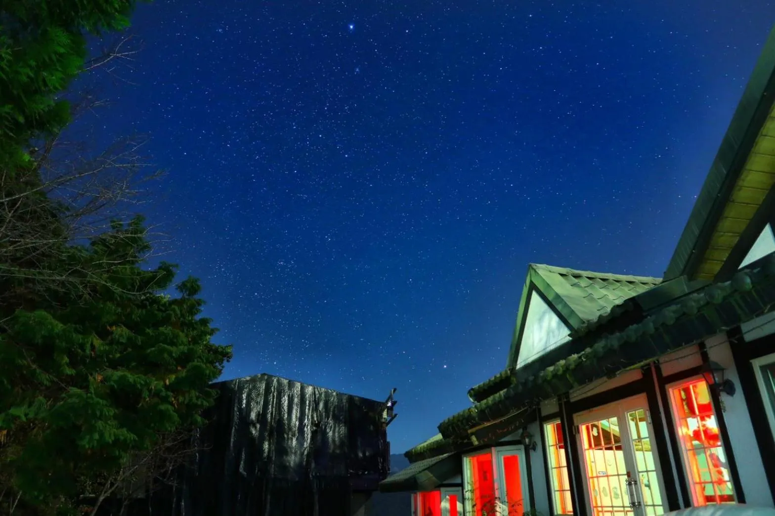 Off site in Cingjing Brilliant Twins of Seattle