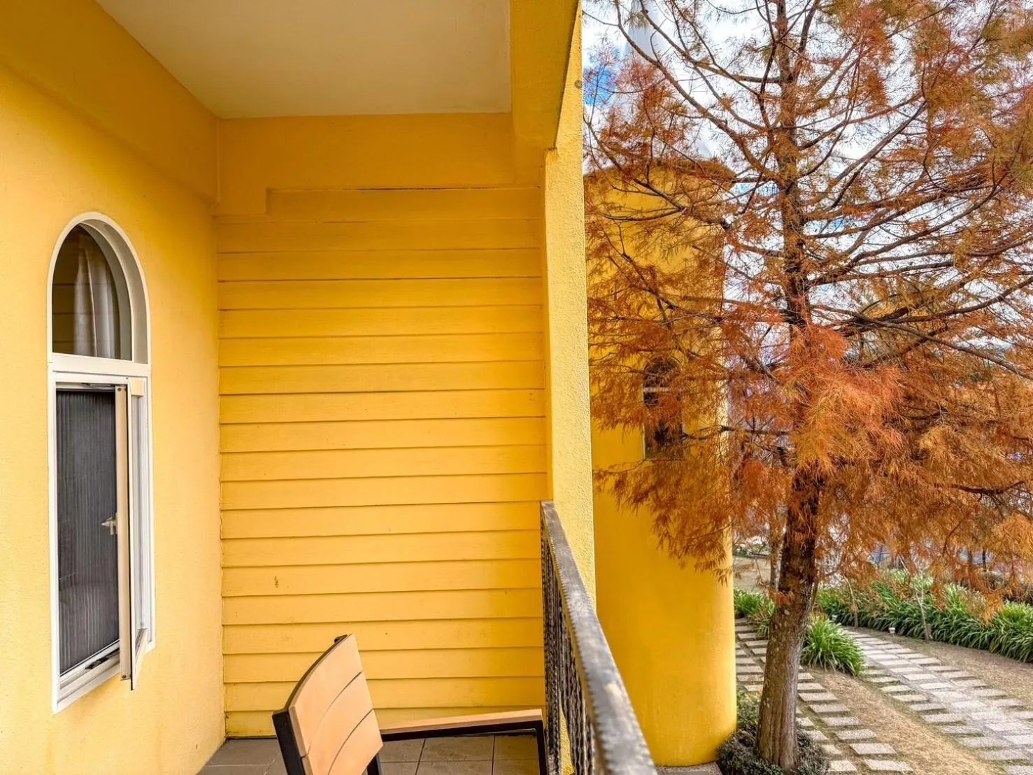 Cingjing Brilliant Twins of Seattle