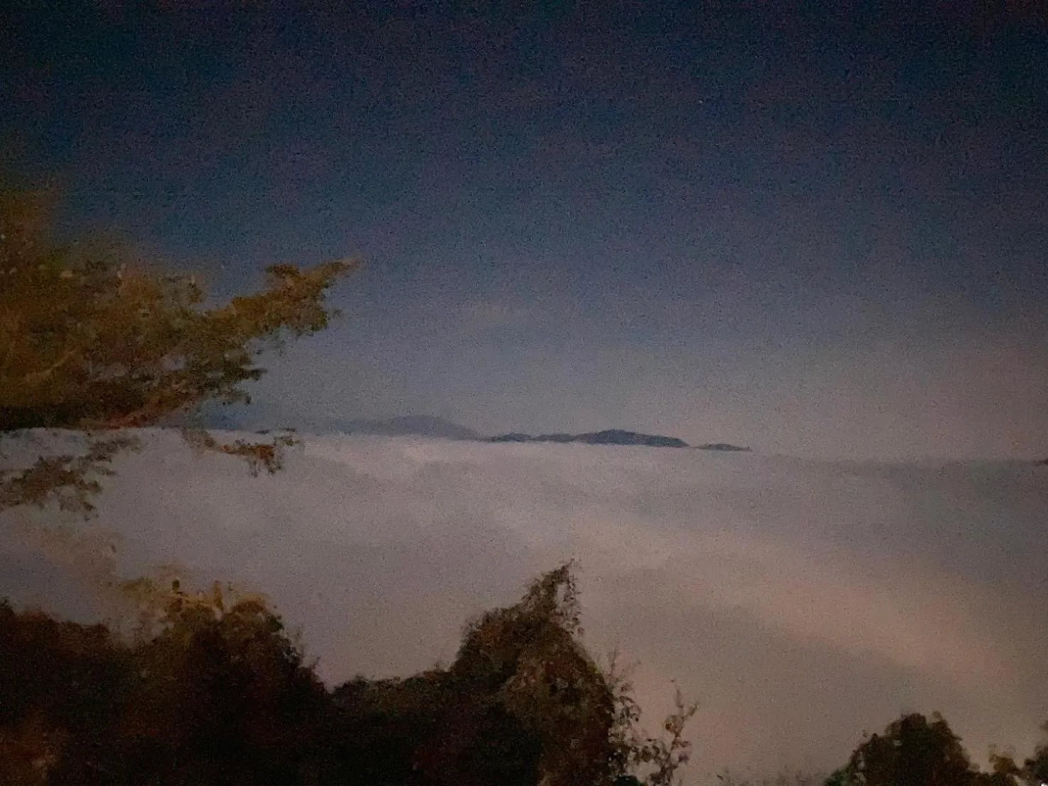 Off site in Cingjing Brilliant Twins of Seattle