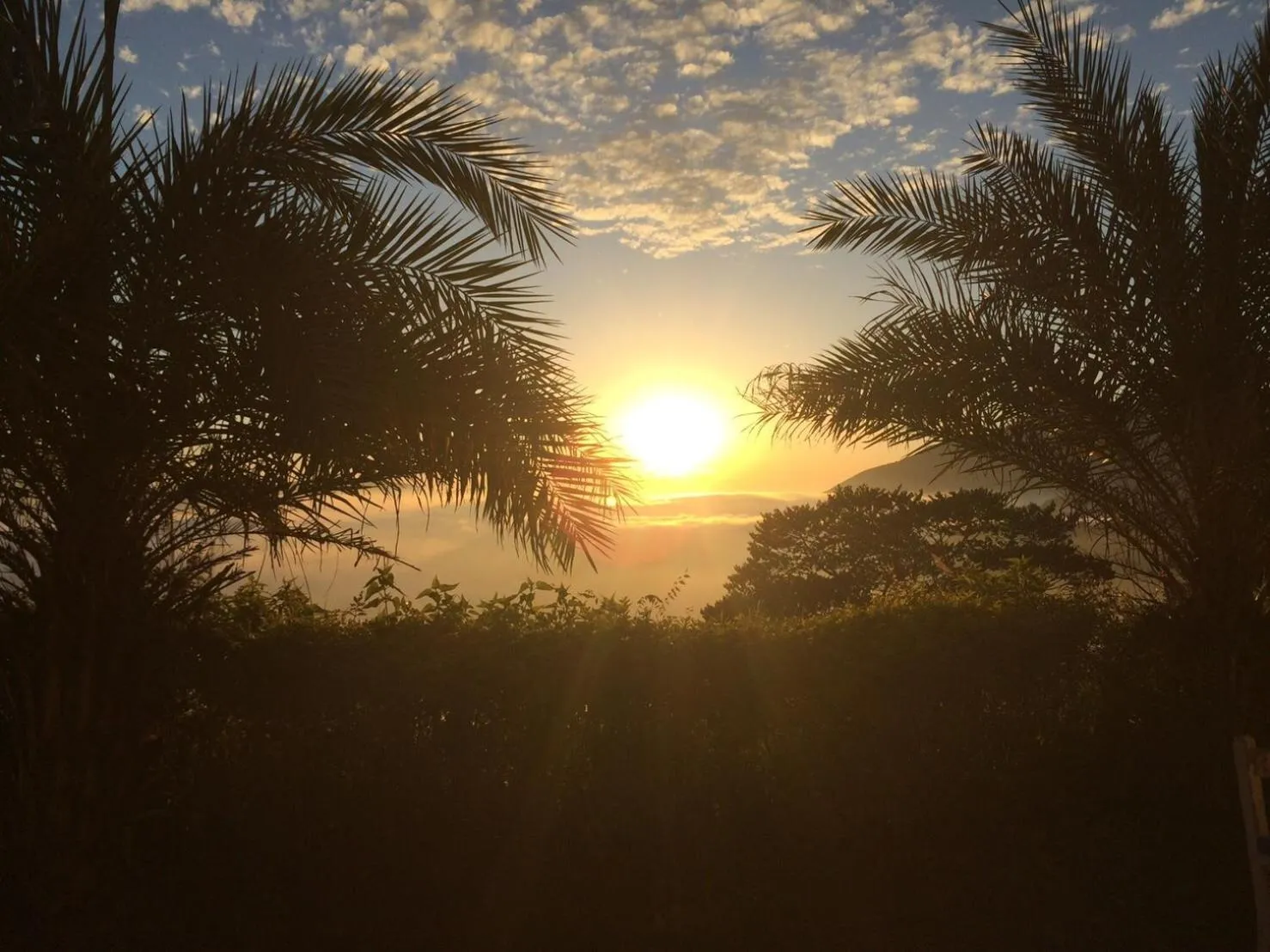 Off site in Cingjing Brilliant Twins of Seattle