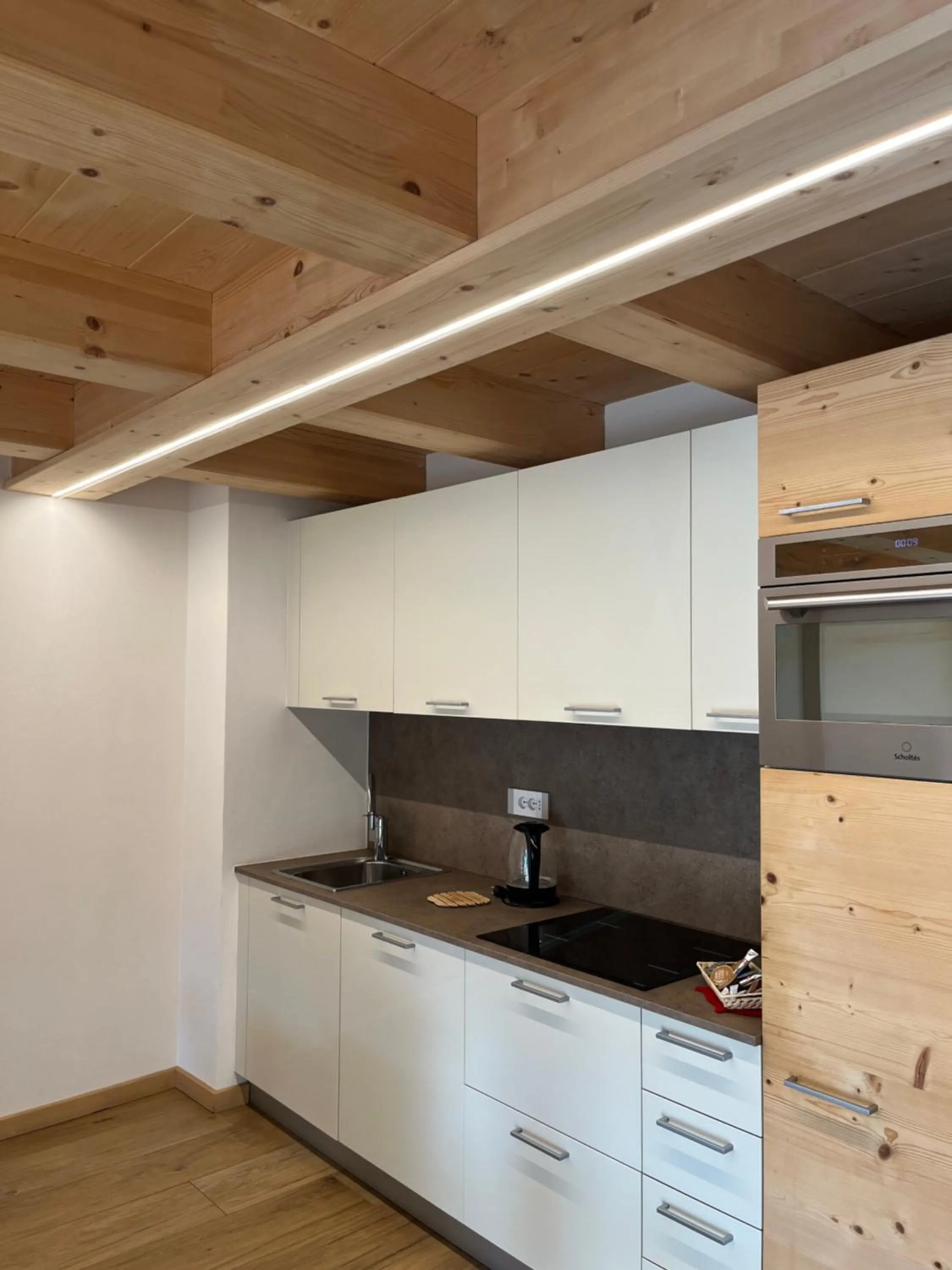 Chalet Shany