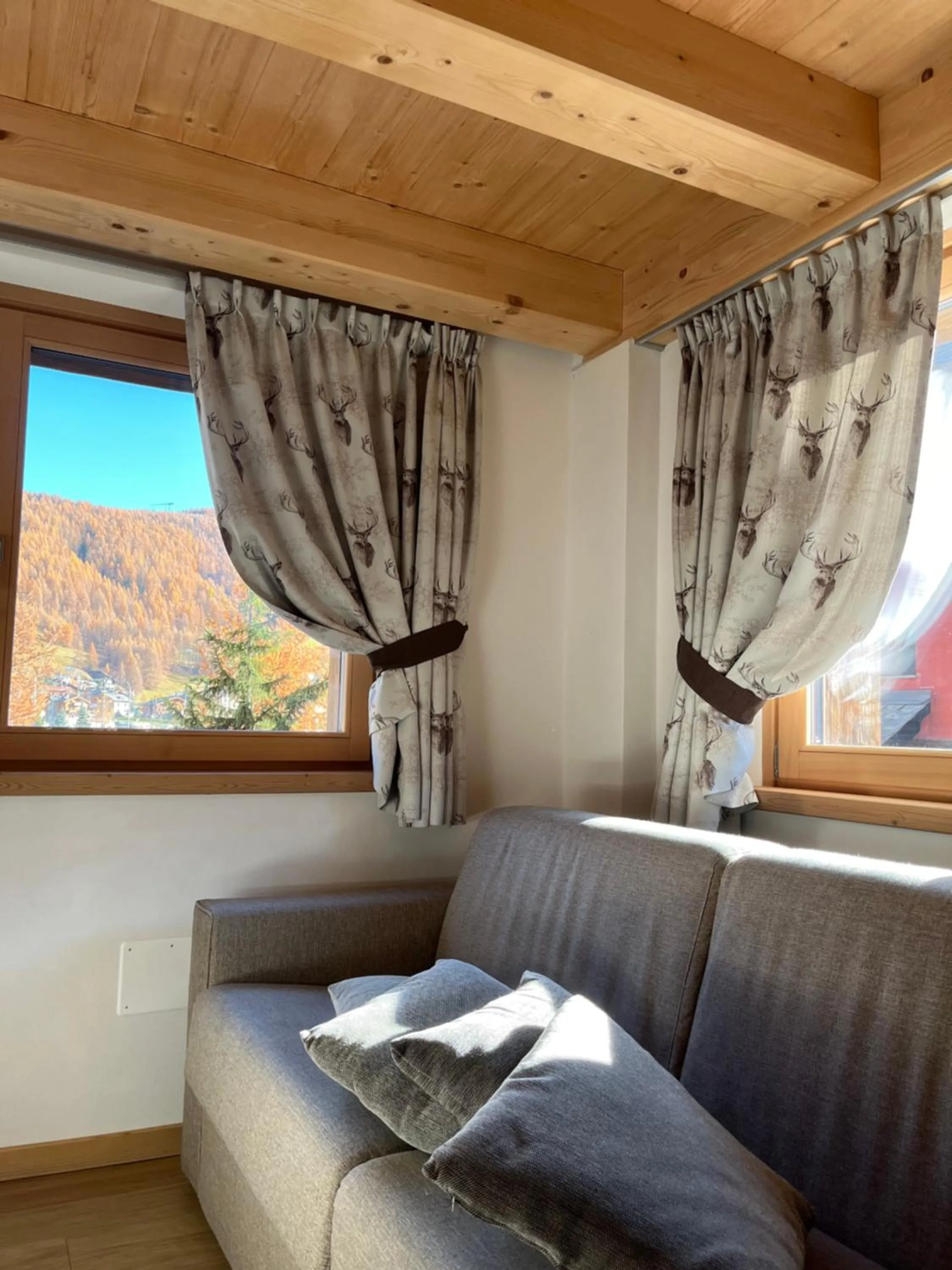 Chalet Shany