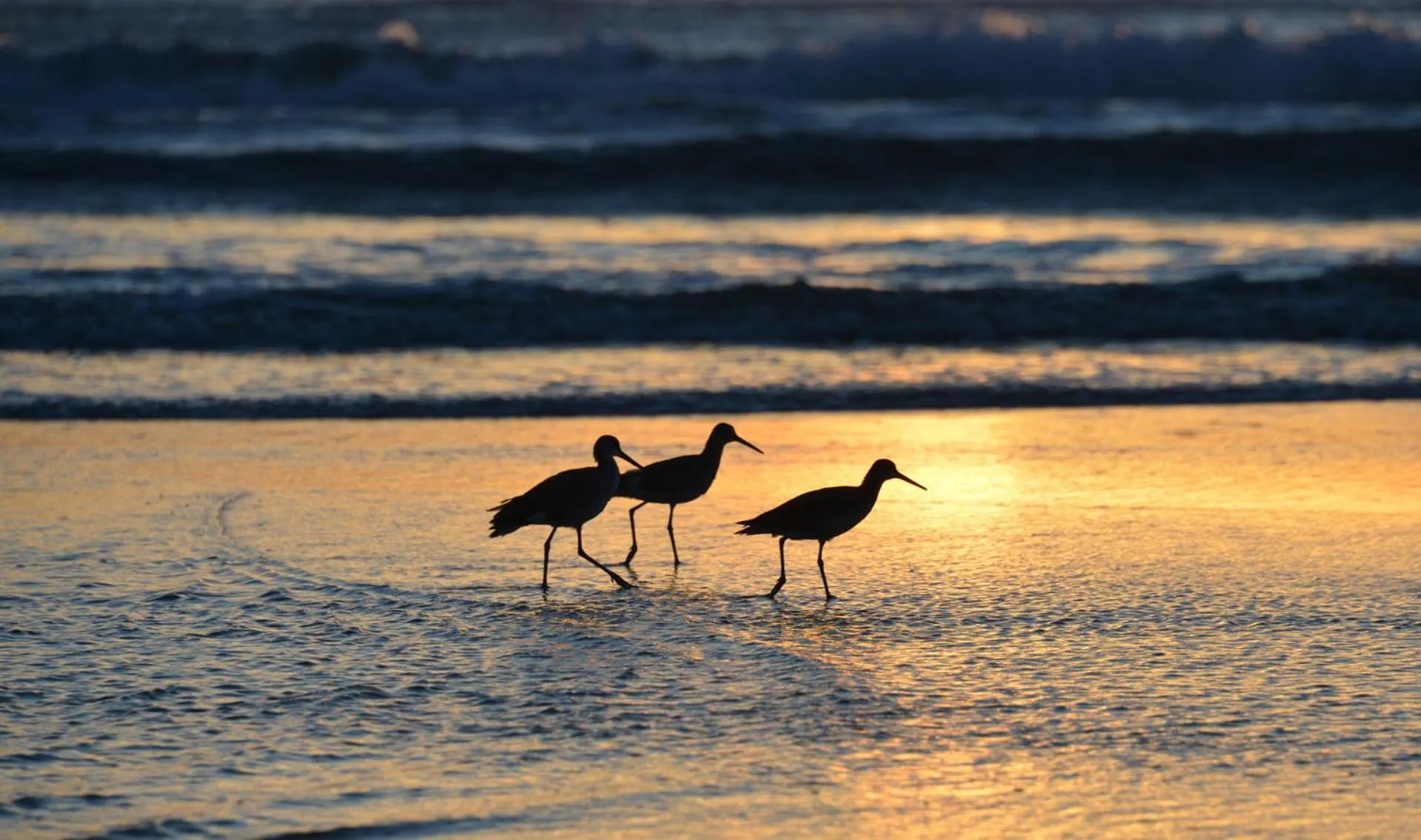 Daytona Beach Resort Condos