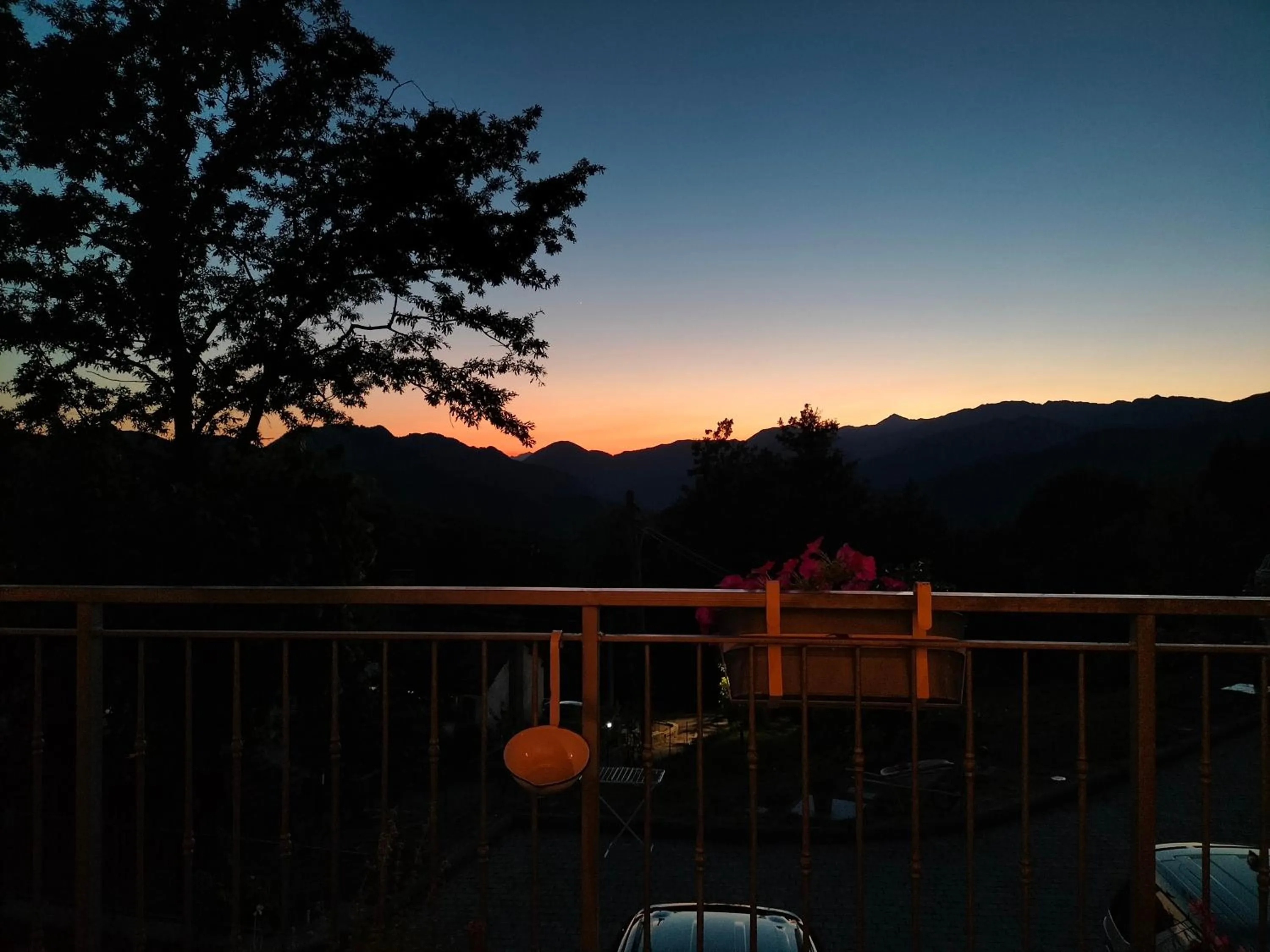 Alla tana del bianconiglio