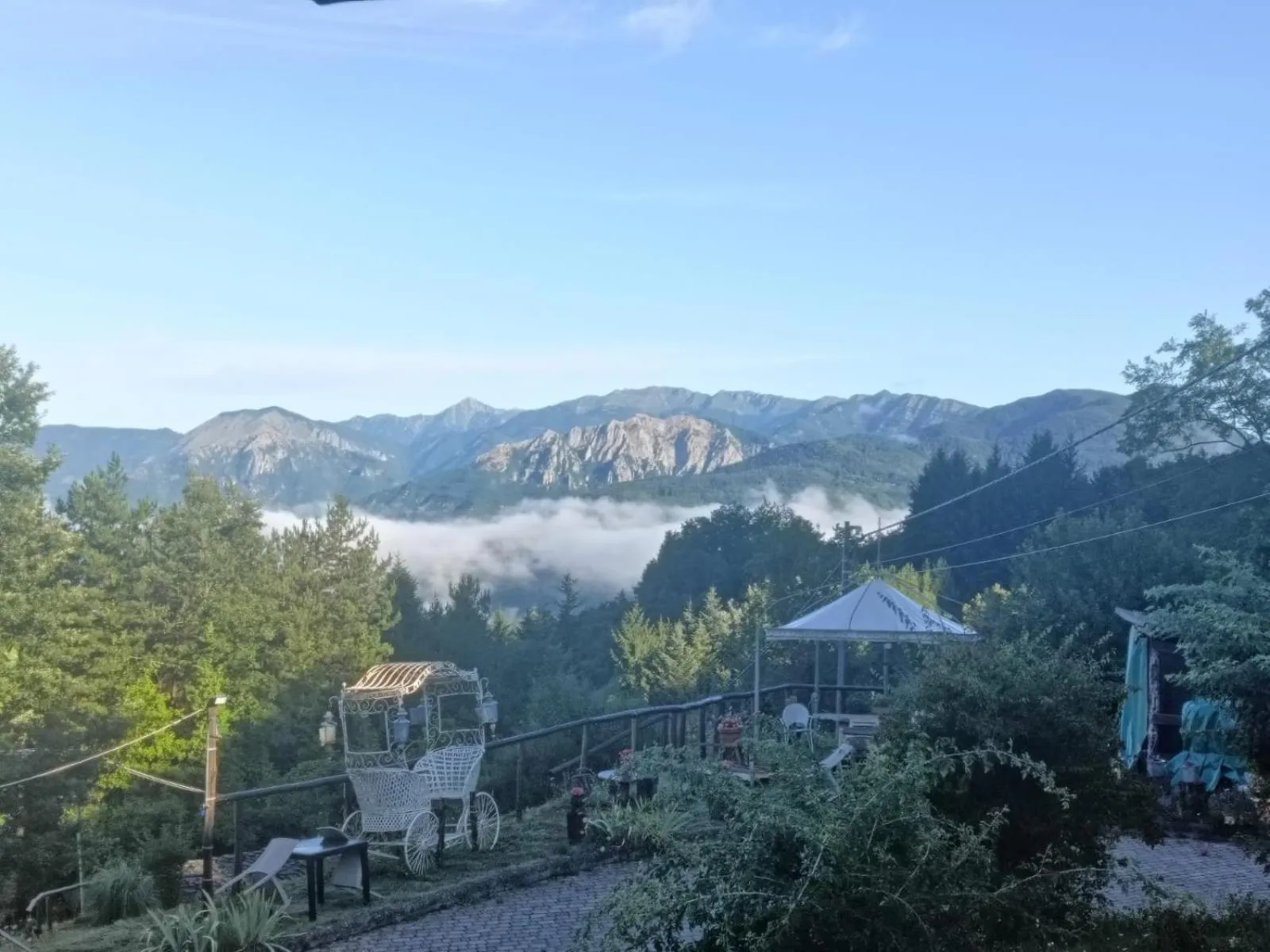 Alla tana del bianconiglio