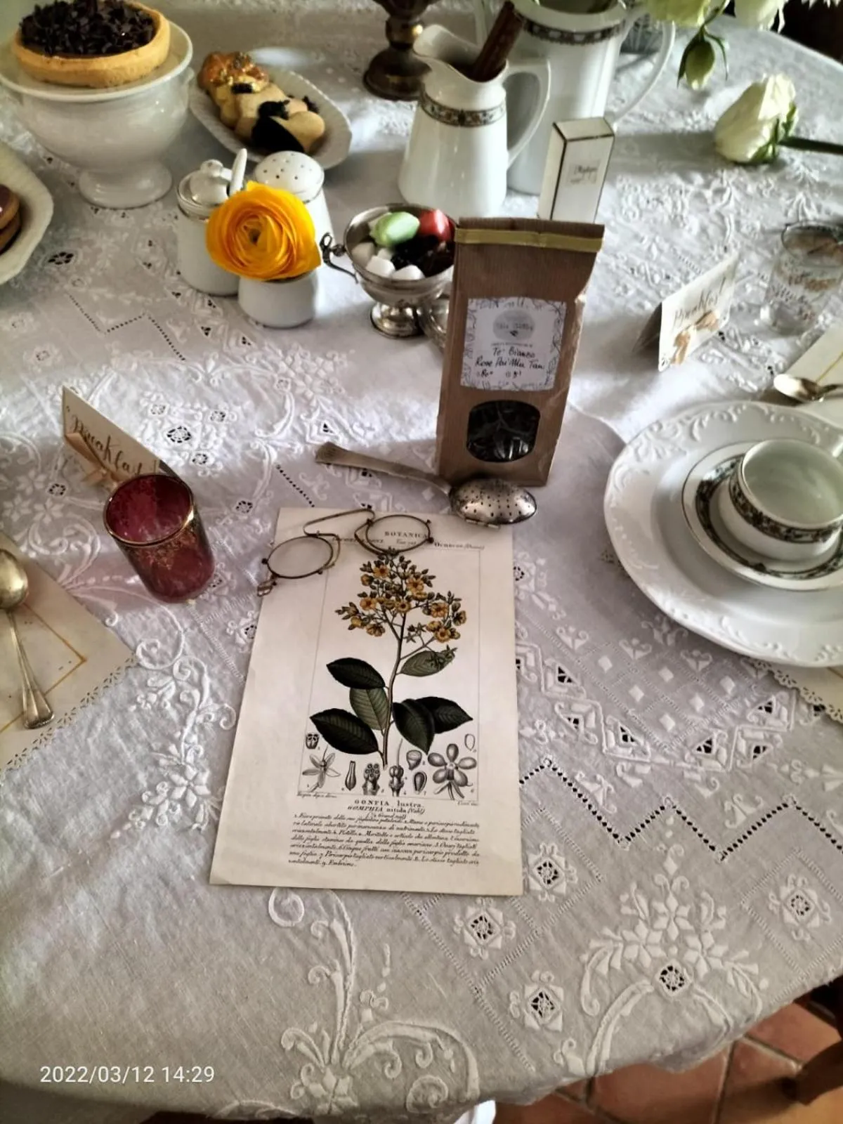 Alla tana del bianconiglio