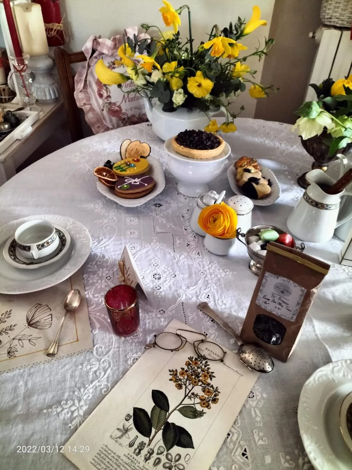 Alla tana del bianconiglio