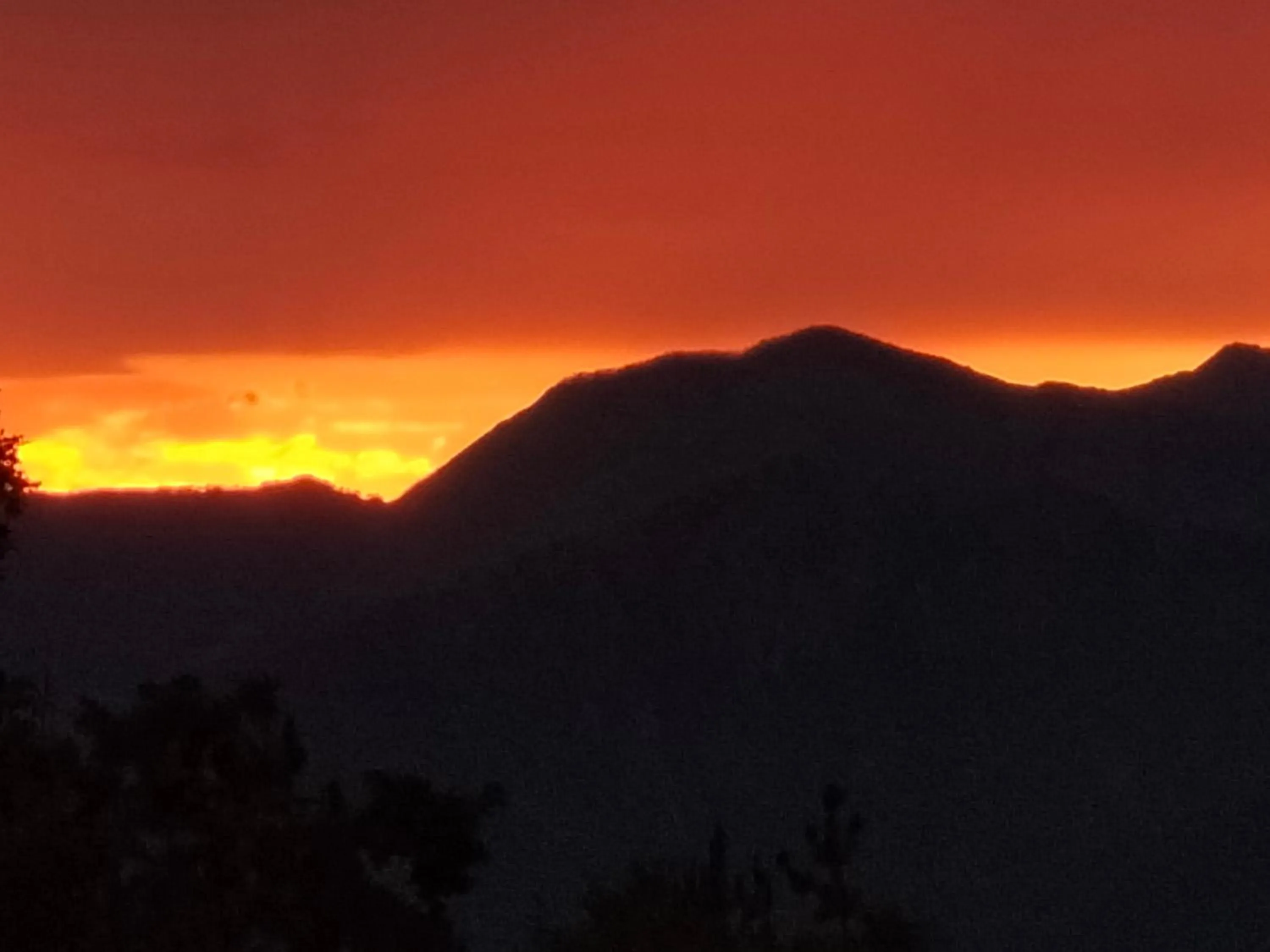 Alla tana del bianconiglio