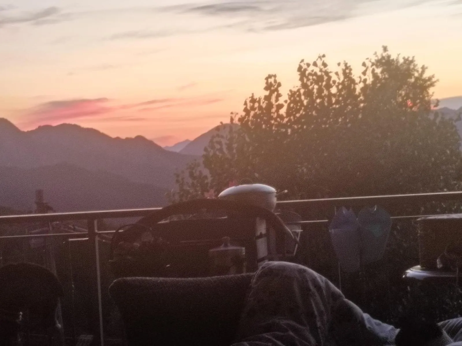 Alla tana del bianconiglio