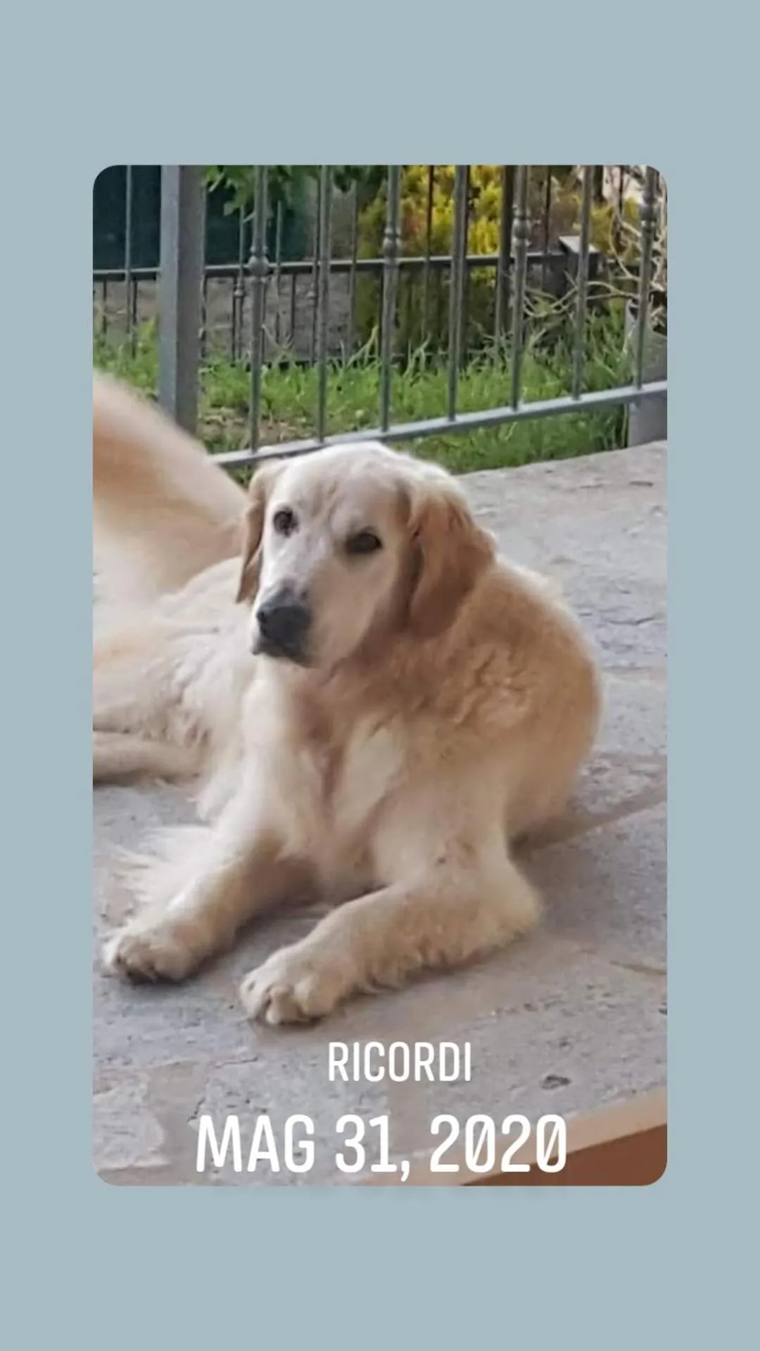 Alla tana del bianconiglio