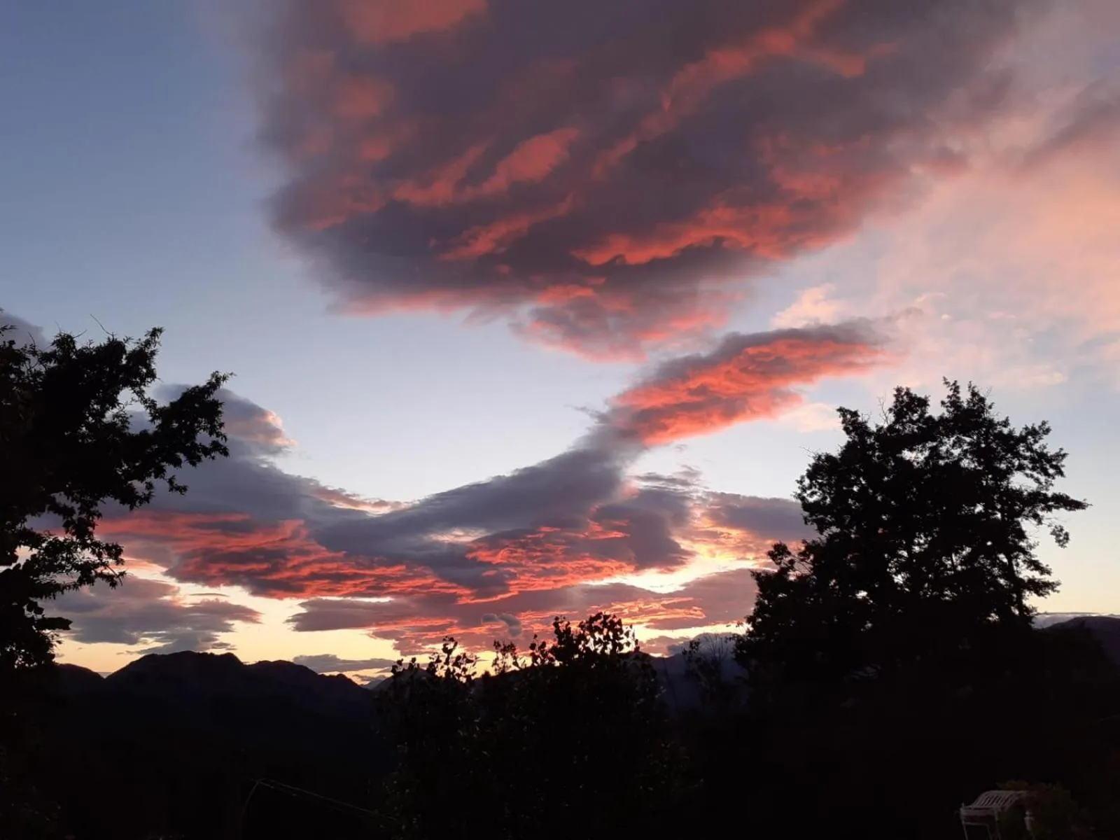 Alla tana del bianconiglio