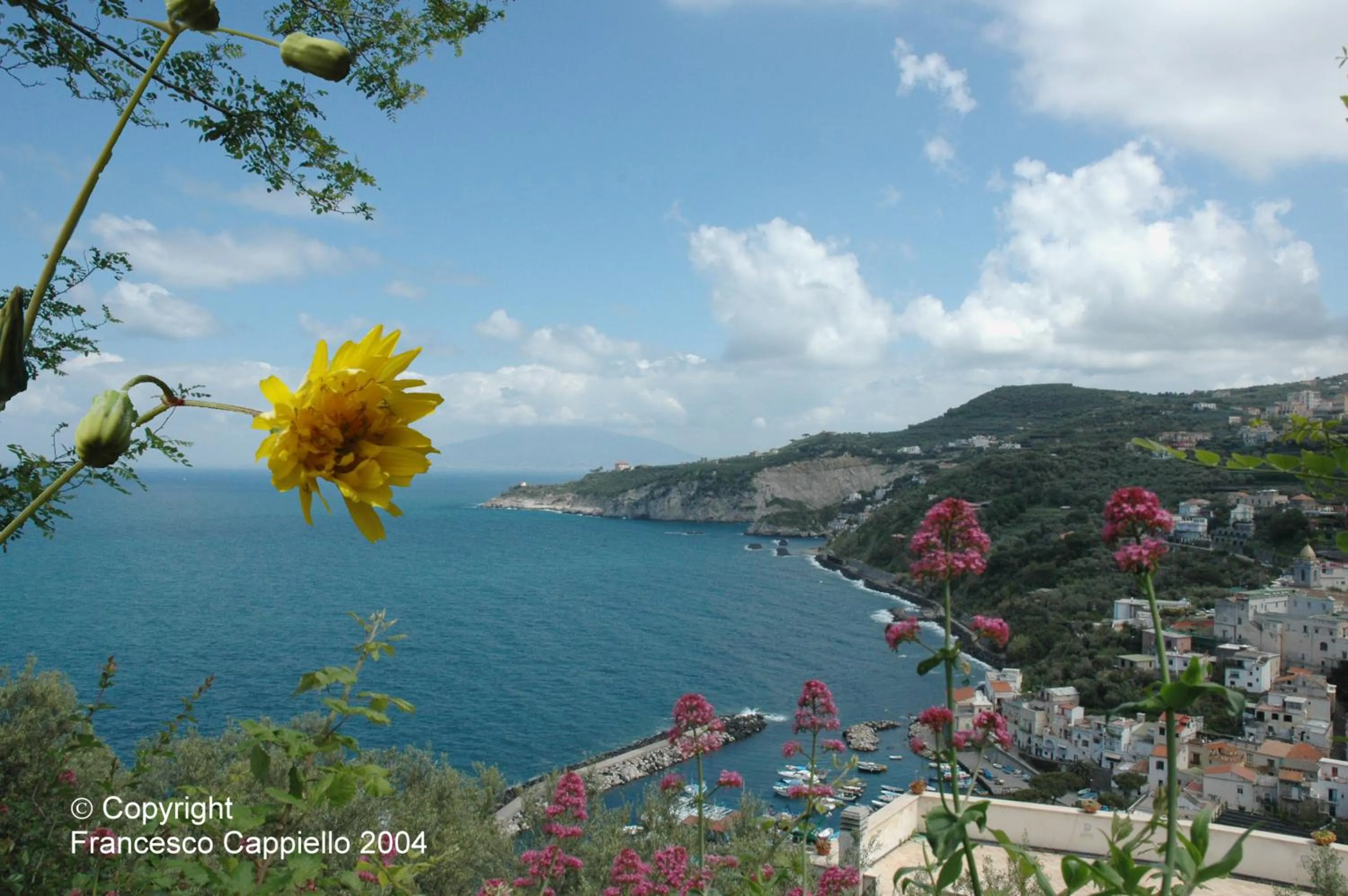 Area and facilities in Central Park
