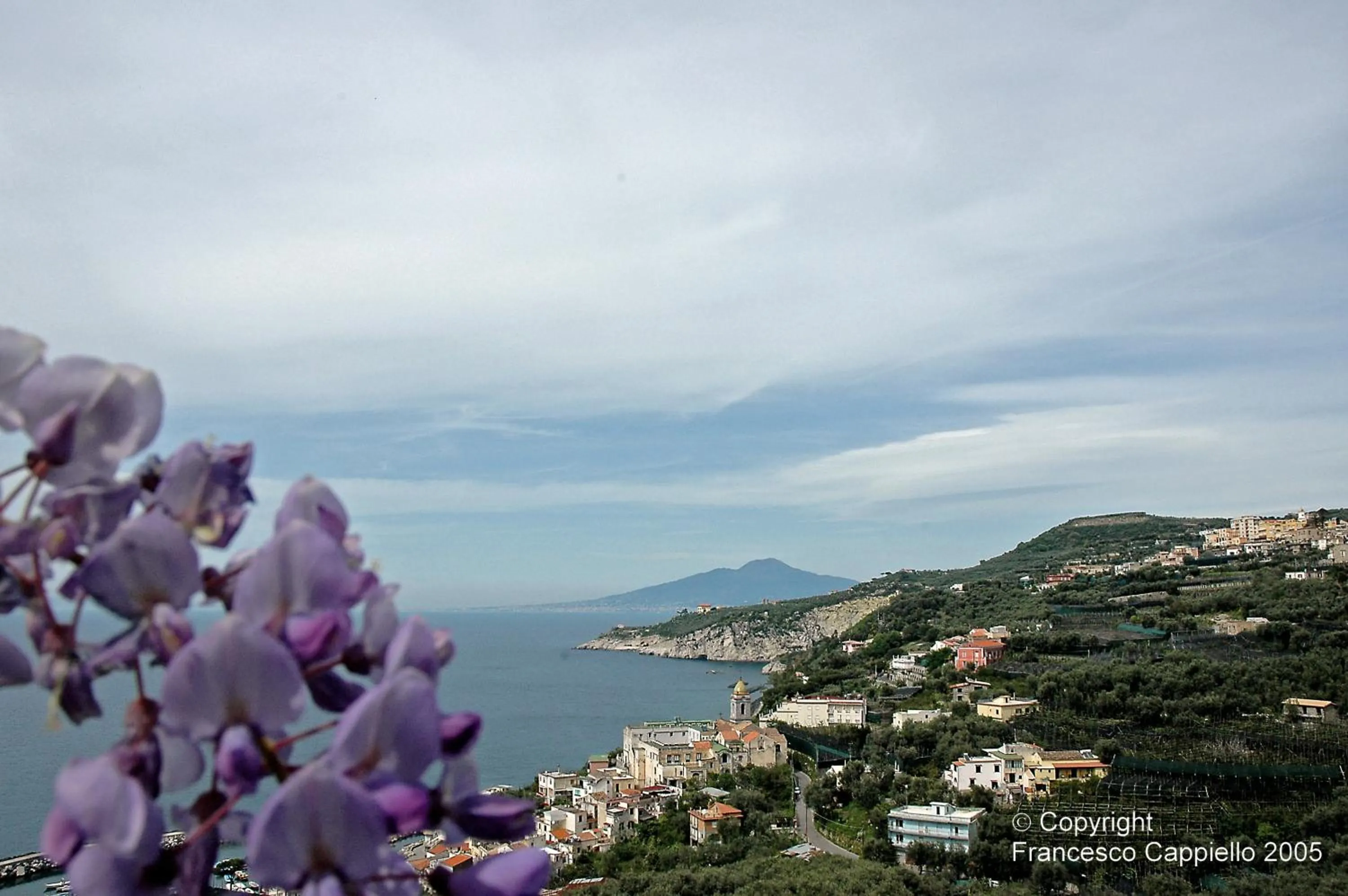 Area and facilities in Central Park
