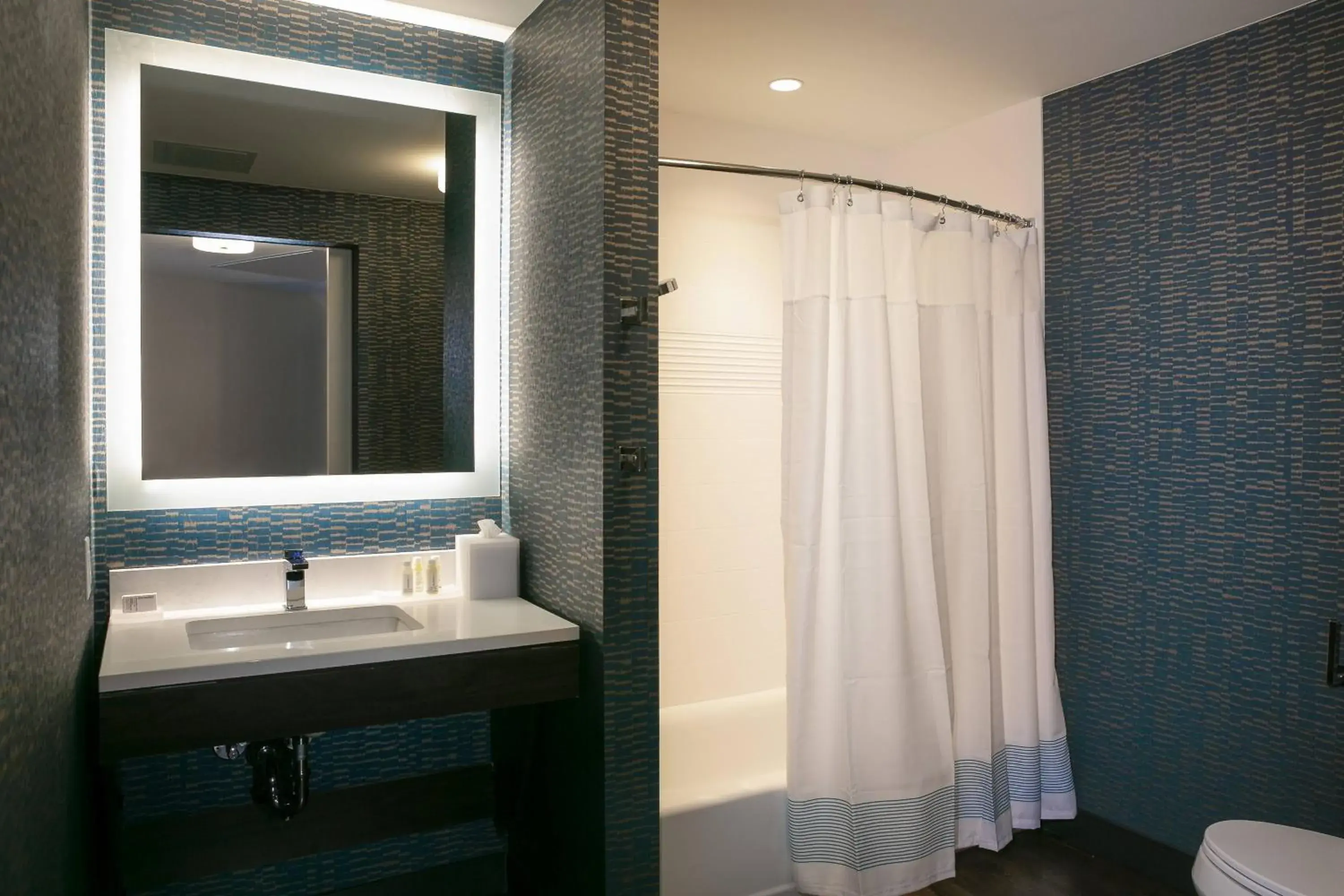 King Studio with Sofa Bed - Hearing Accessible in TownePlace Suites Nashville Downtown/Capitol District King Studio with Sofa Bed - Hearing Accessible in TownePlace Suites Nashville Downtown/Capitol District