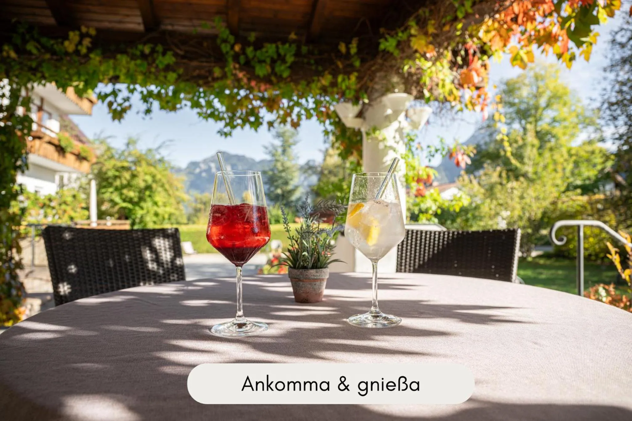 Balcony/Terrace in Hotel Filser
