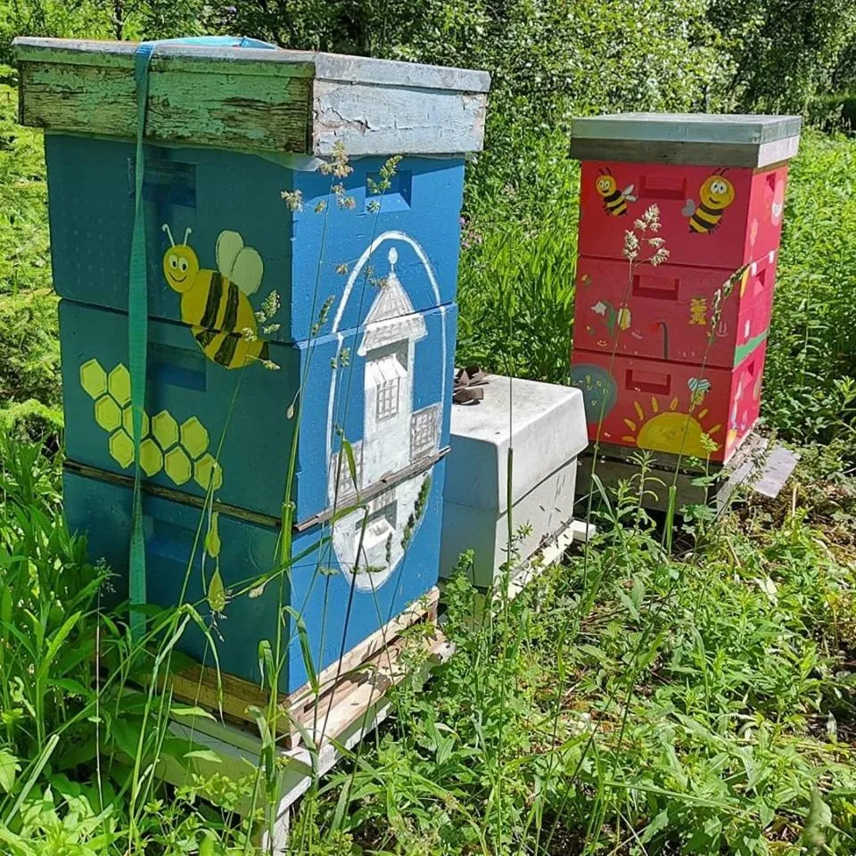 Garden in Sanner Hotell
