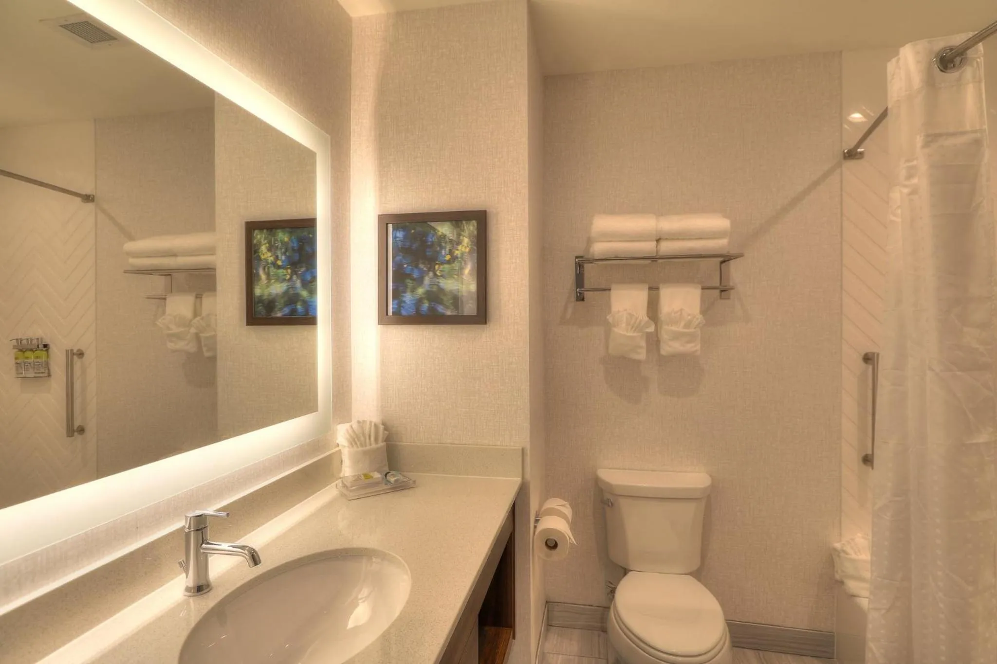 Bathroom in Holiday Inn & Suites Pigeon Forge Convention Center by IHG