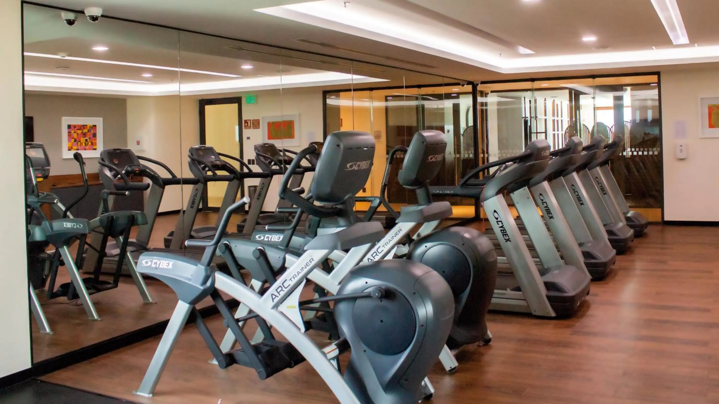 Fitness centre/facilities in Holiday Inn & Suites - Puerto Vallarta Marina & Golf by IHG