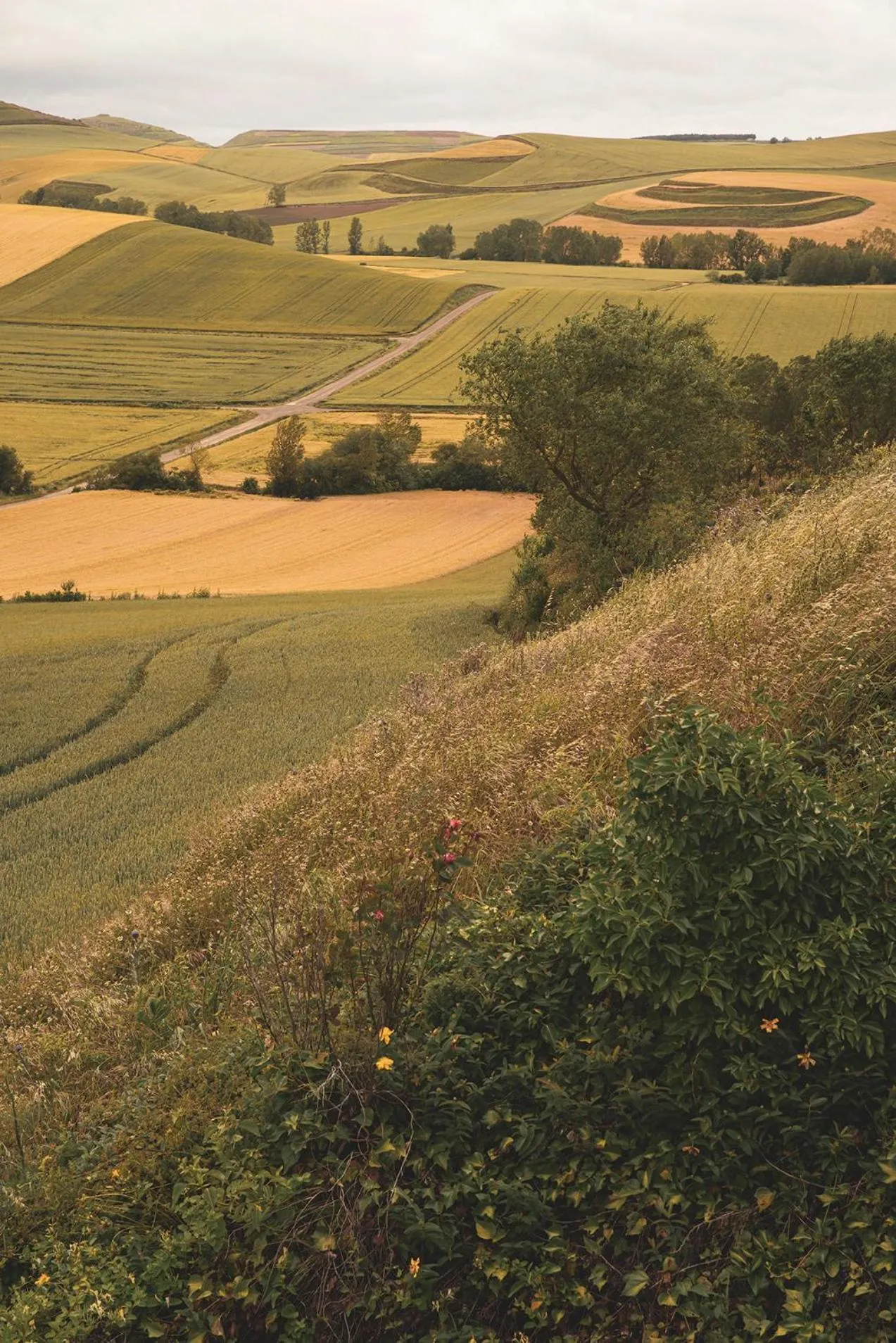 Day in Casa Grande Hotel