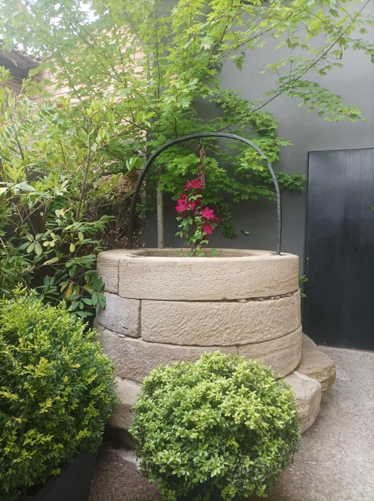 Garden in Casa Grande Hotel