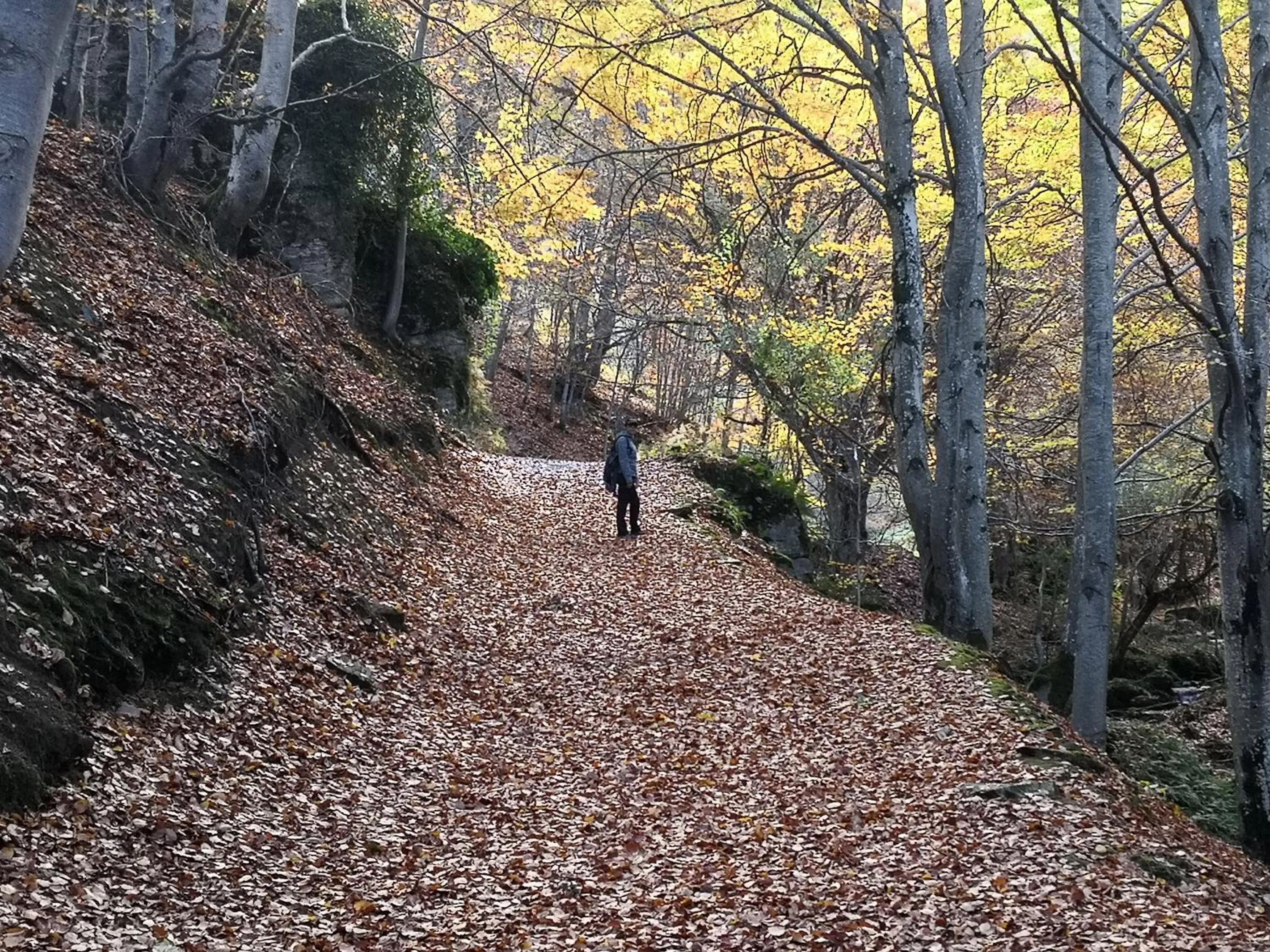 Day in Casa Grande Hotel