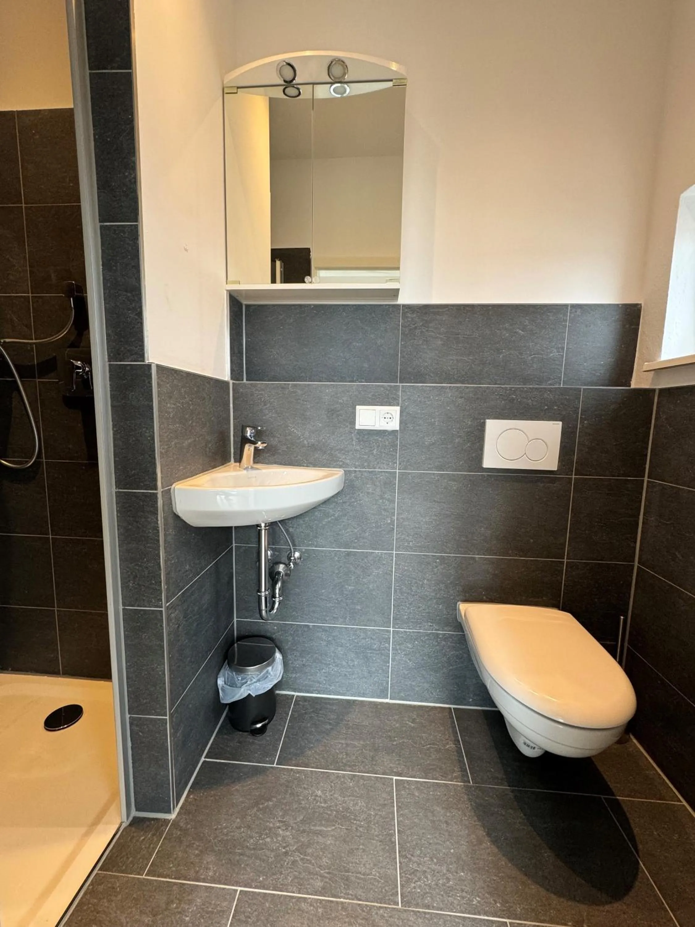 Toilet in Pension Schweizer