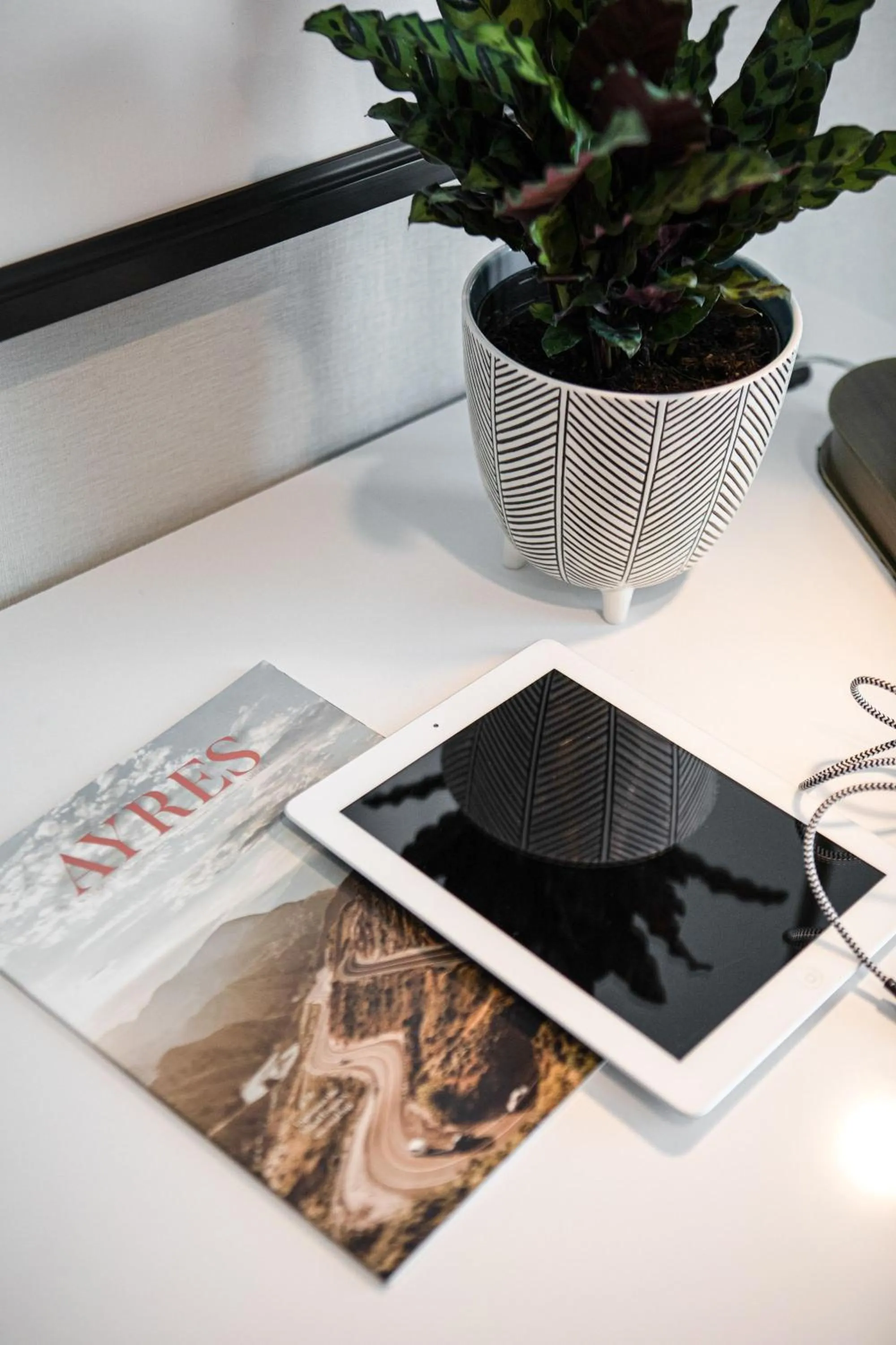 Decorative detail in Ayres Hotel Vista Carlsbad