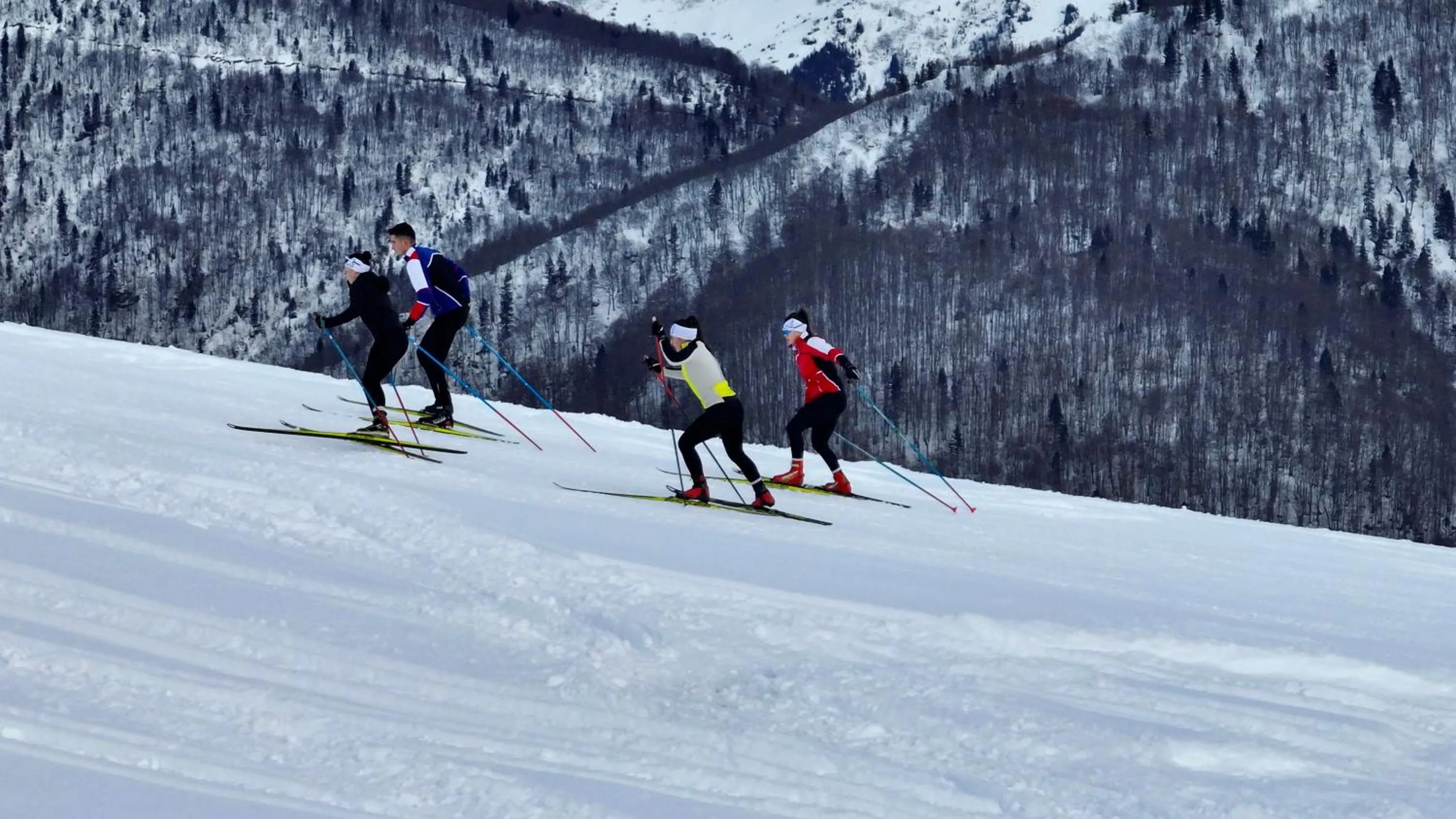 Flora Handüzü Resort & Wellness Bungalow Hotel