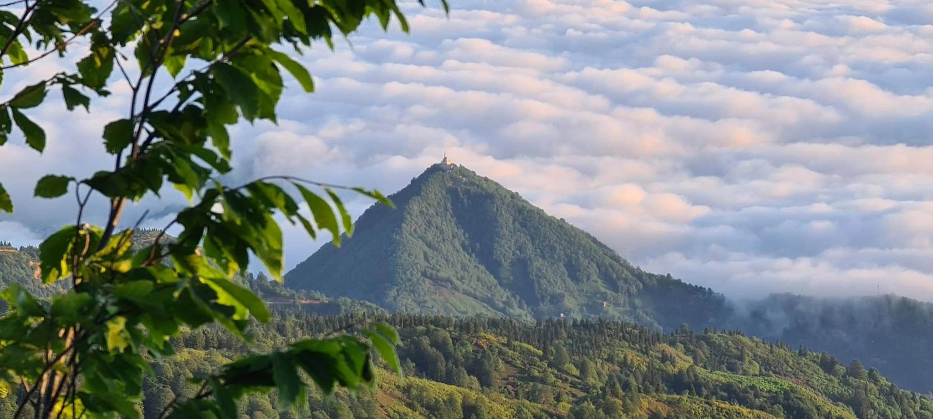 Garden in Flora Handüzü Resort & Wellness Bungalow Hotel