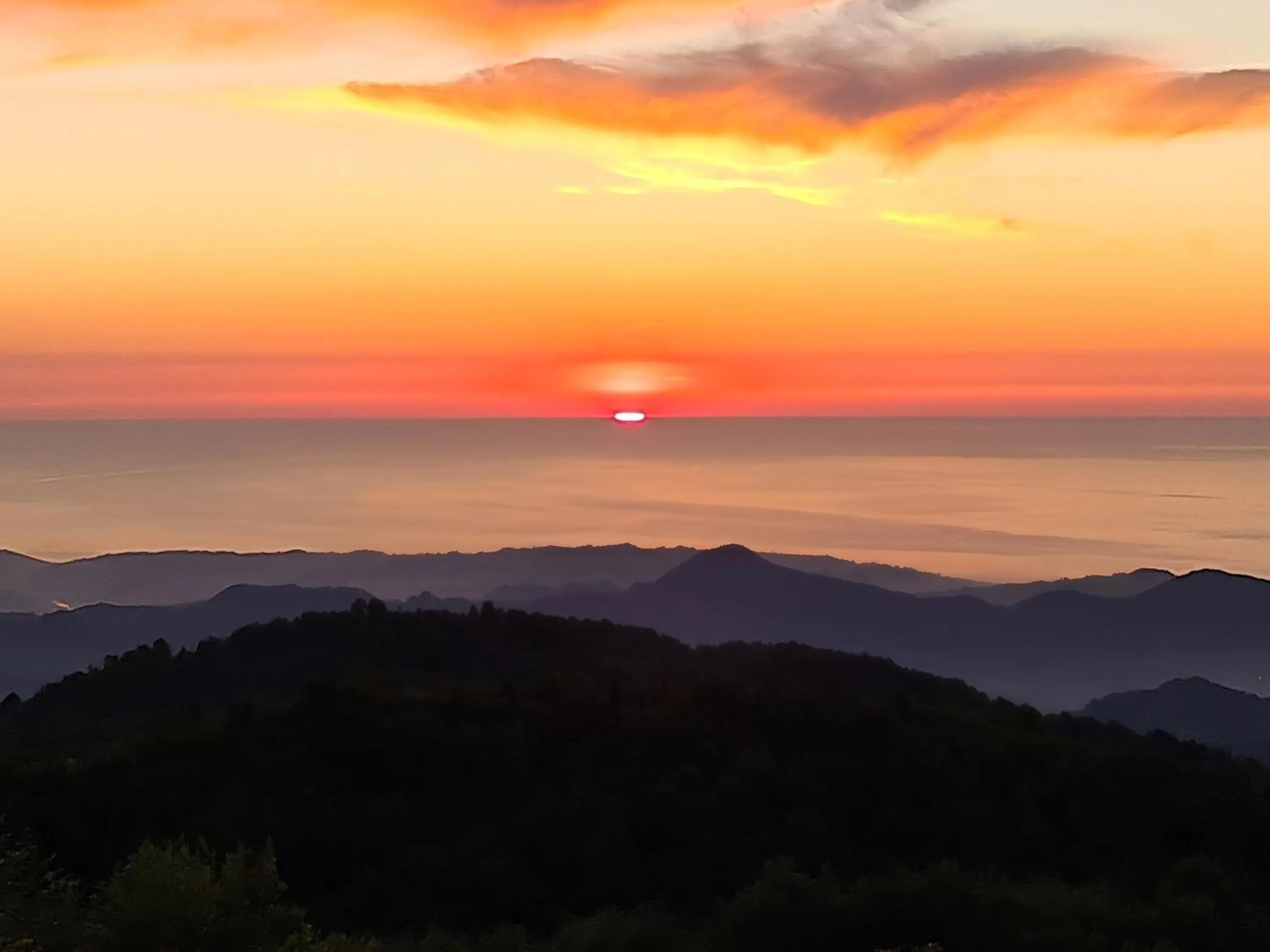 Natural landscape in Flora Handüzü Resort & Wellness Bungalow Hotel