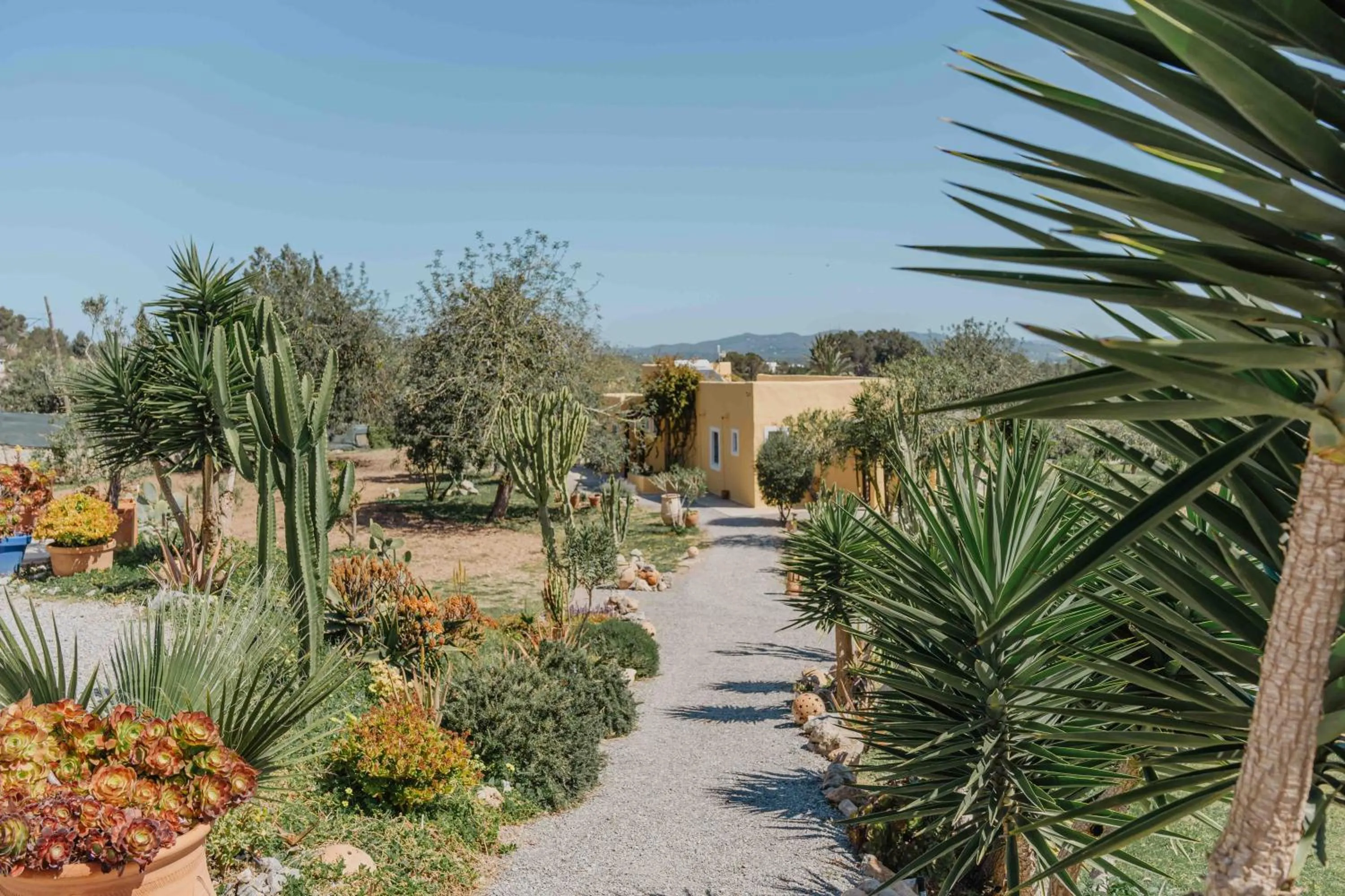Garden view in LAS MARIPOSAS