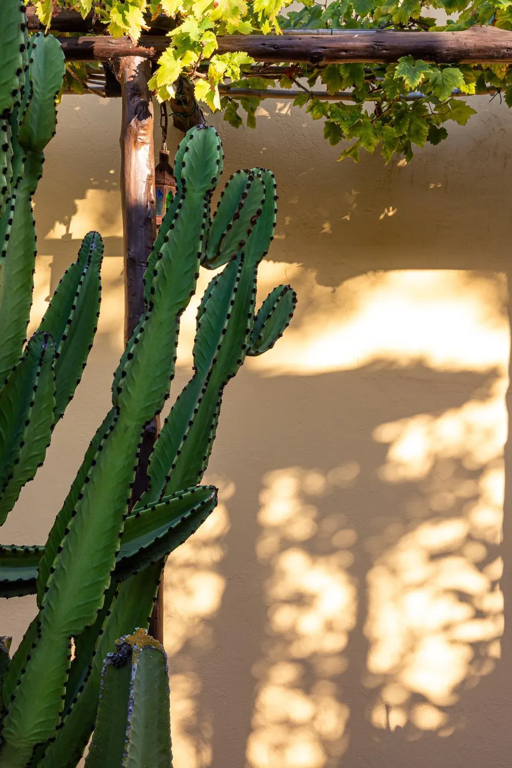 Decorative detail in LAS MARIPOSAS