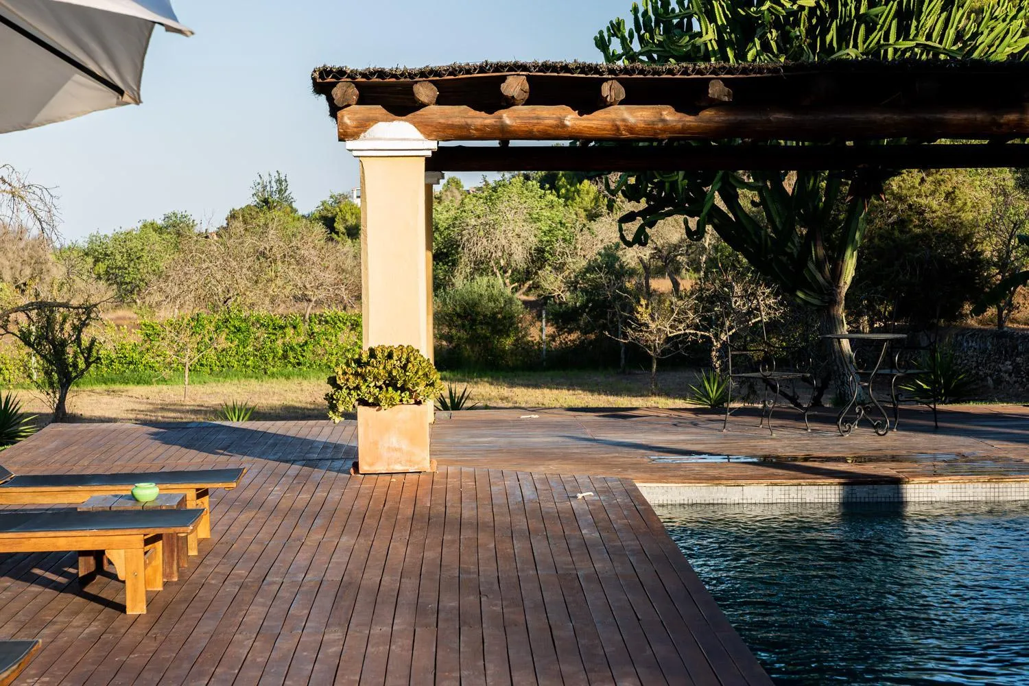 Garden in LAS MARIPOSAS