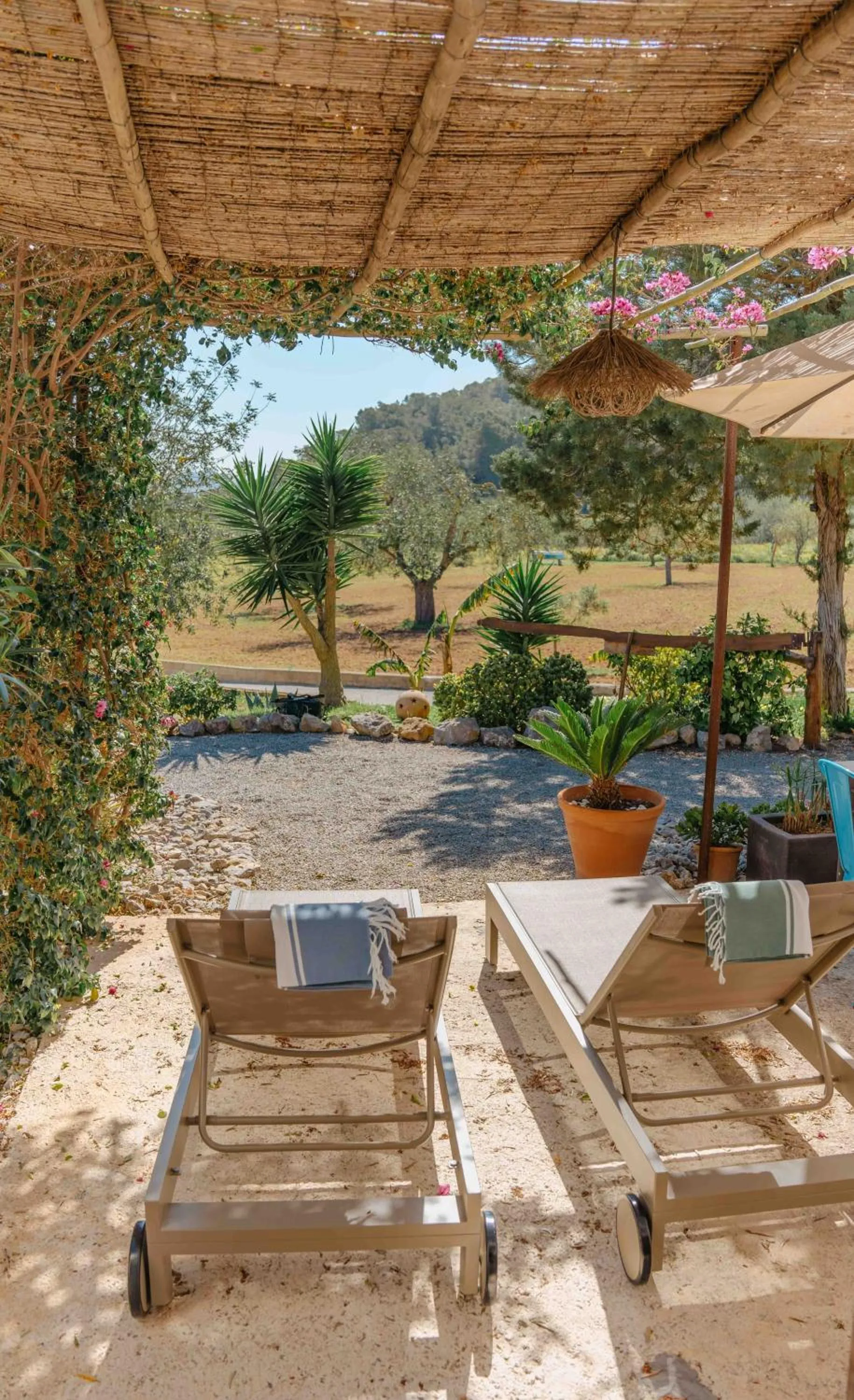 Balcony/Terrace in LAS MARIPOSAS