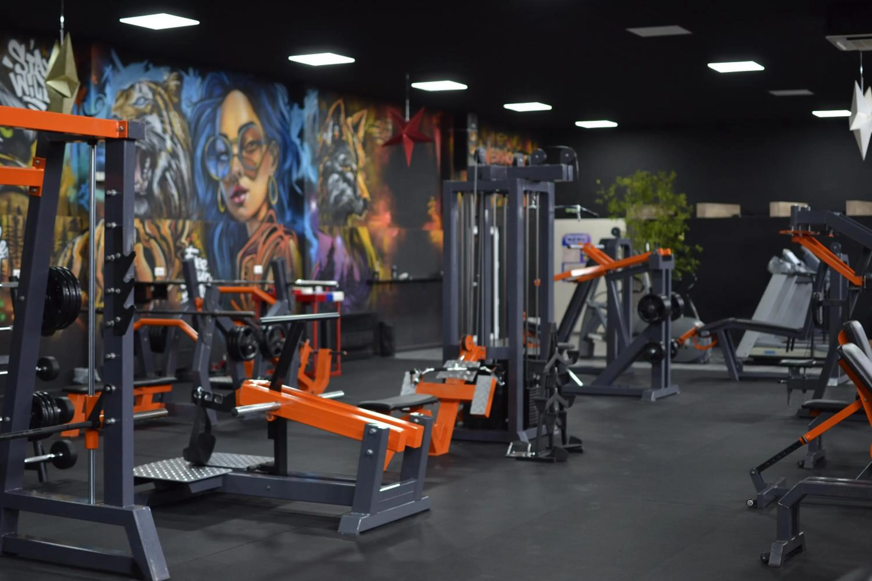 Property building in Hotel Pamela Concept