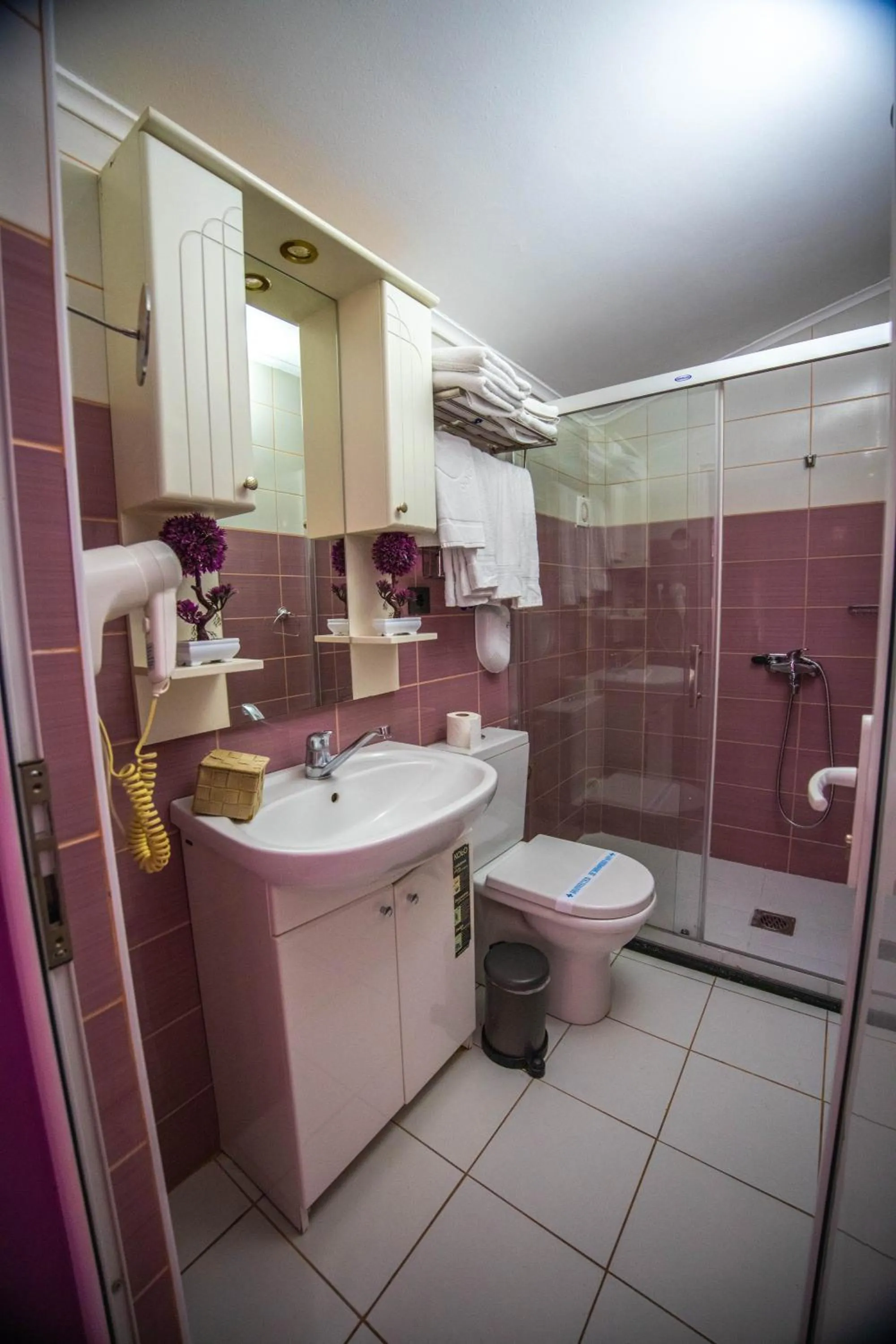 Shower in Hotel Pamela Concept