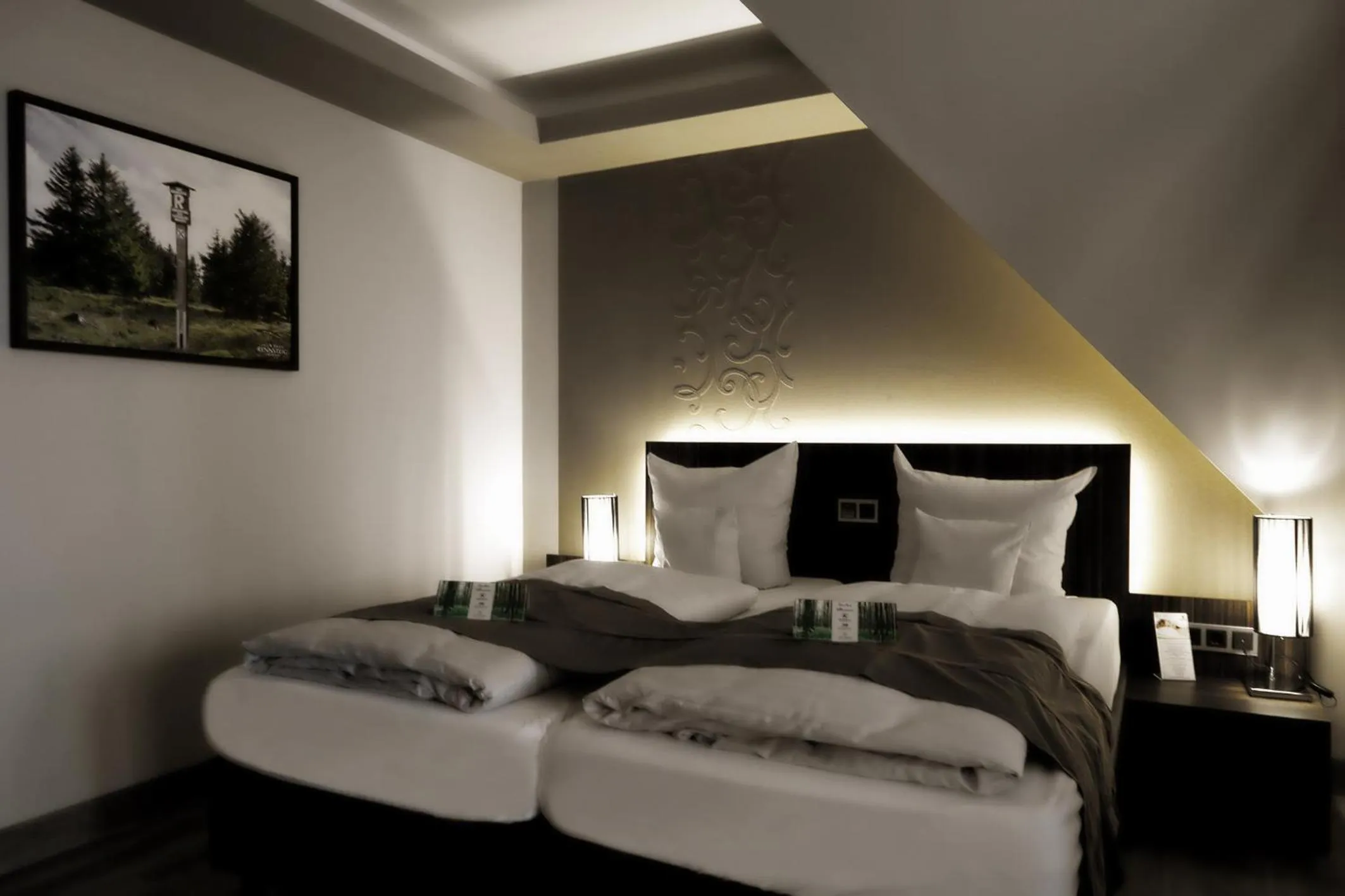 Double or Twin Room - single occupancy in Konsum Berghotel Oberhof