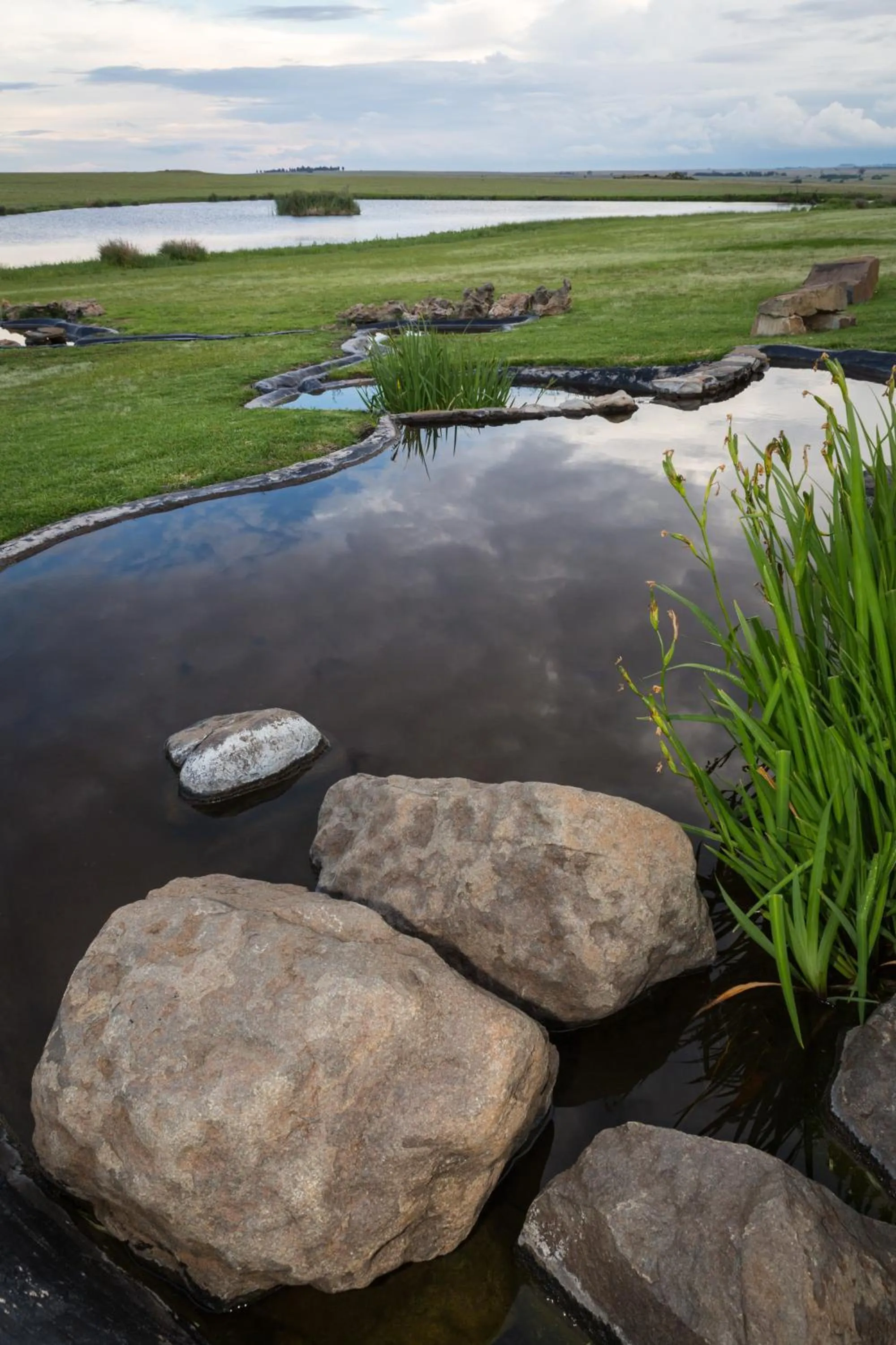Garden in Francolin Creek