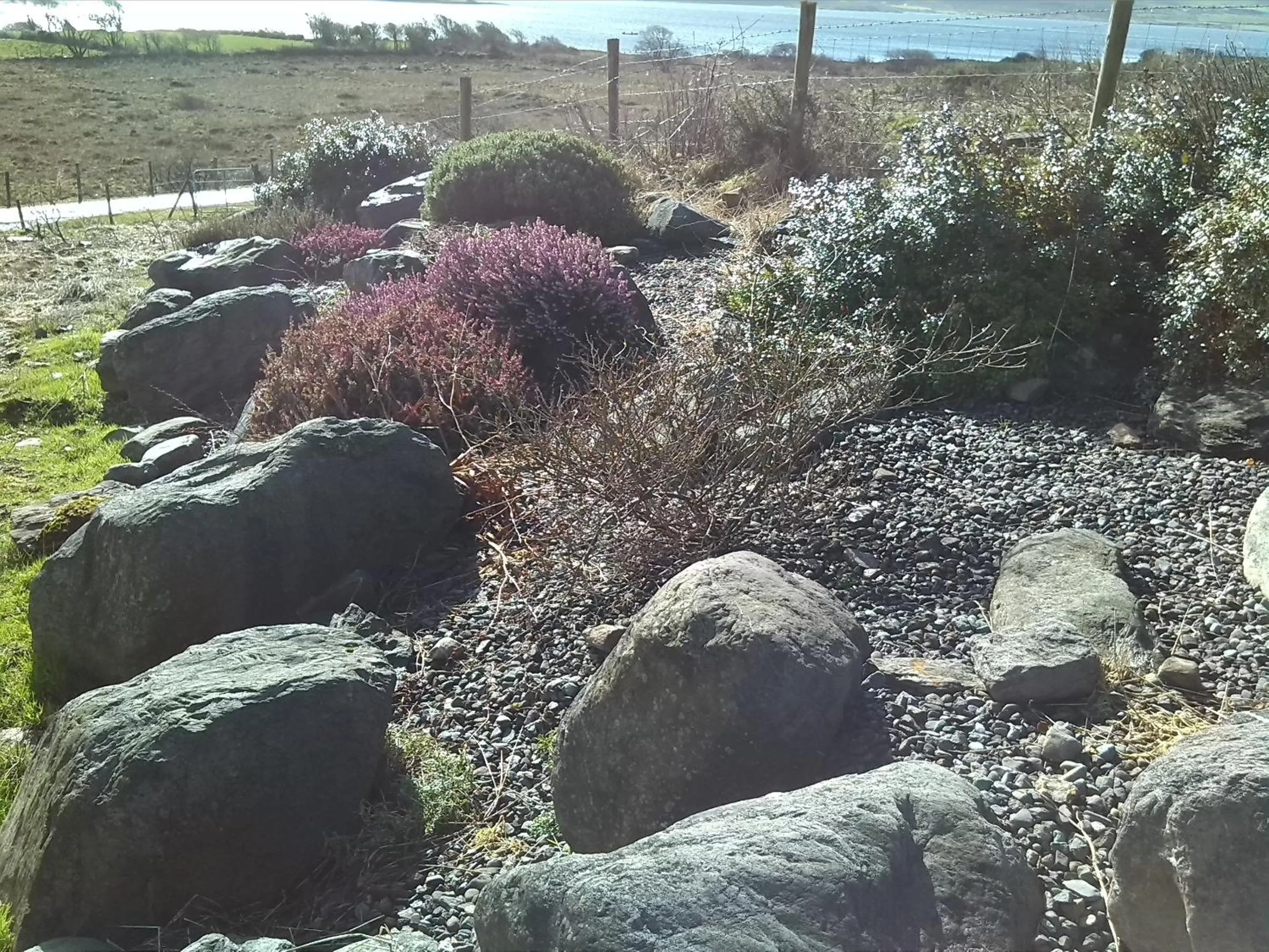Garden in Currane Lodge