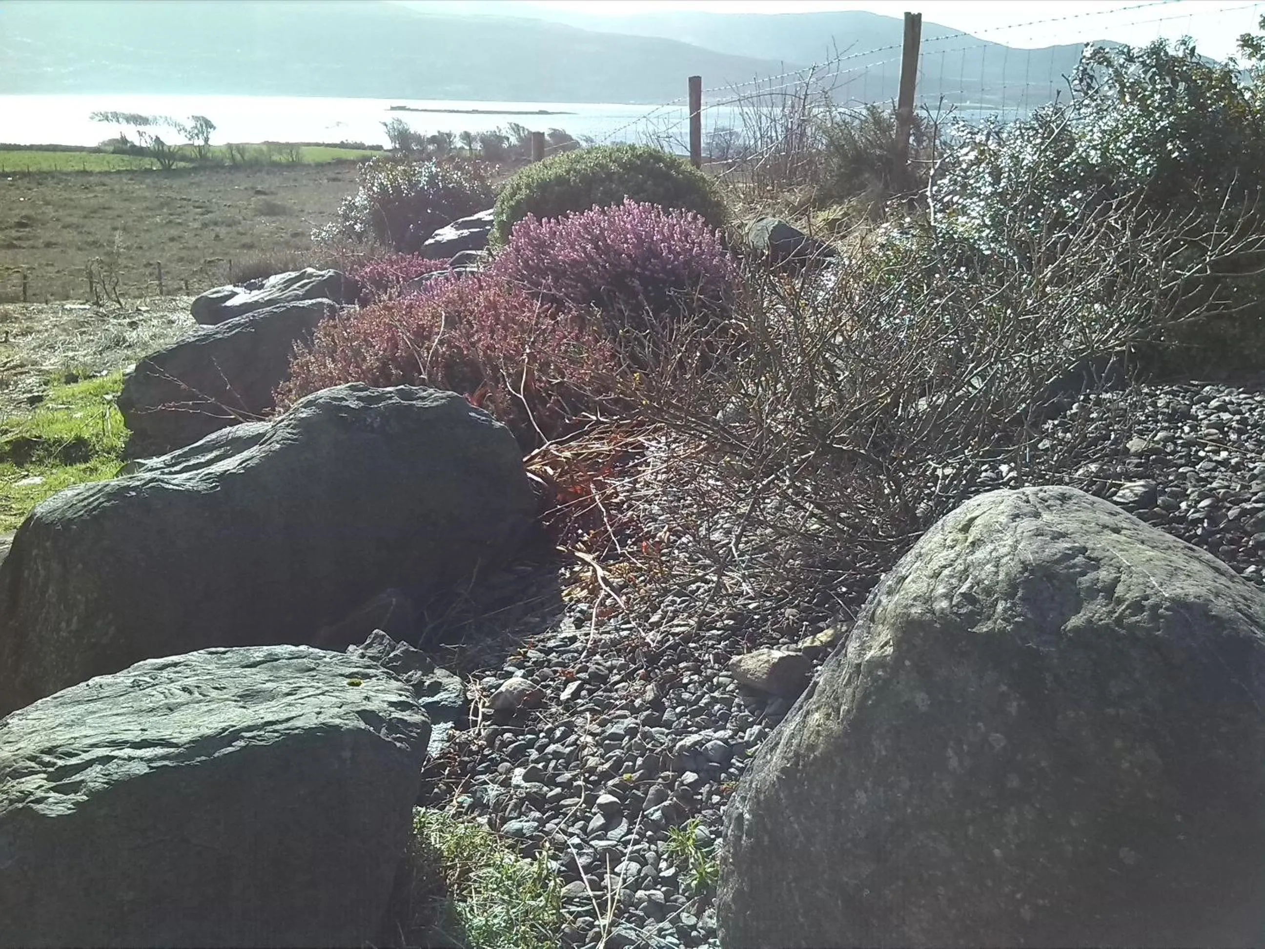 Garden in Currane Lodge