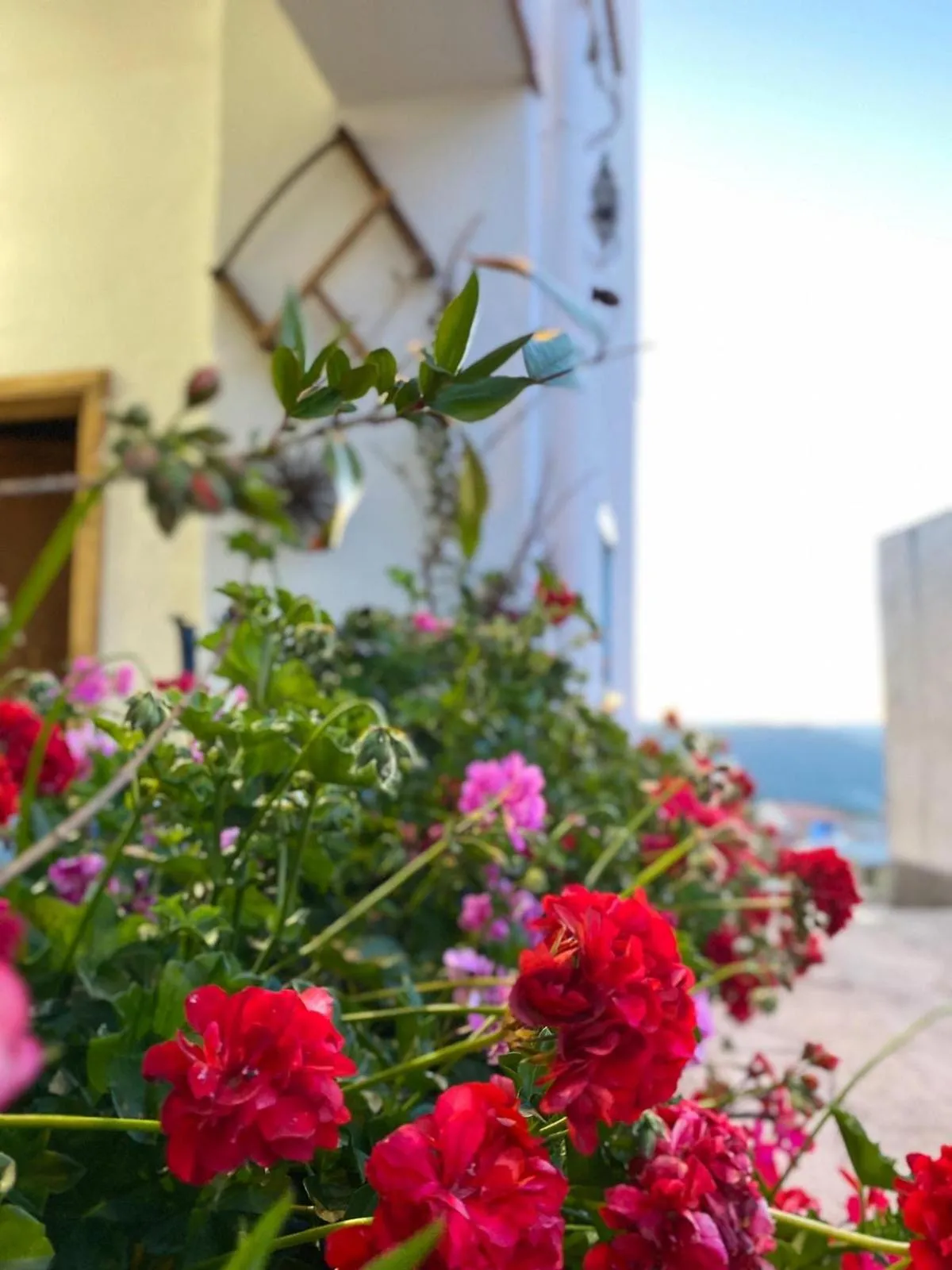 Facade/entrance in Canduleri