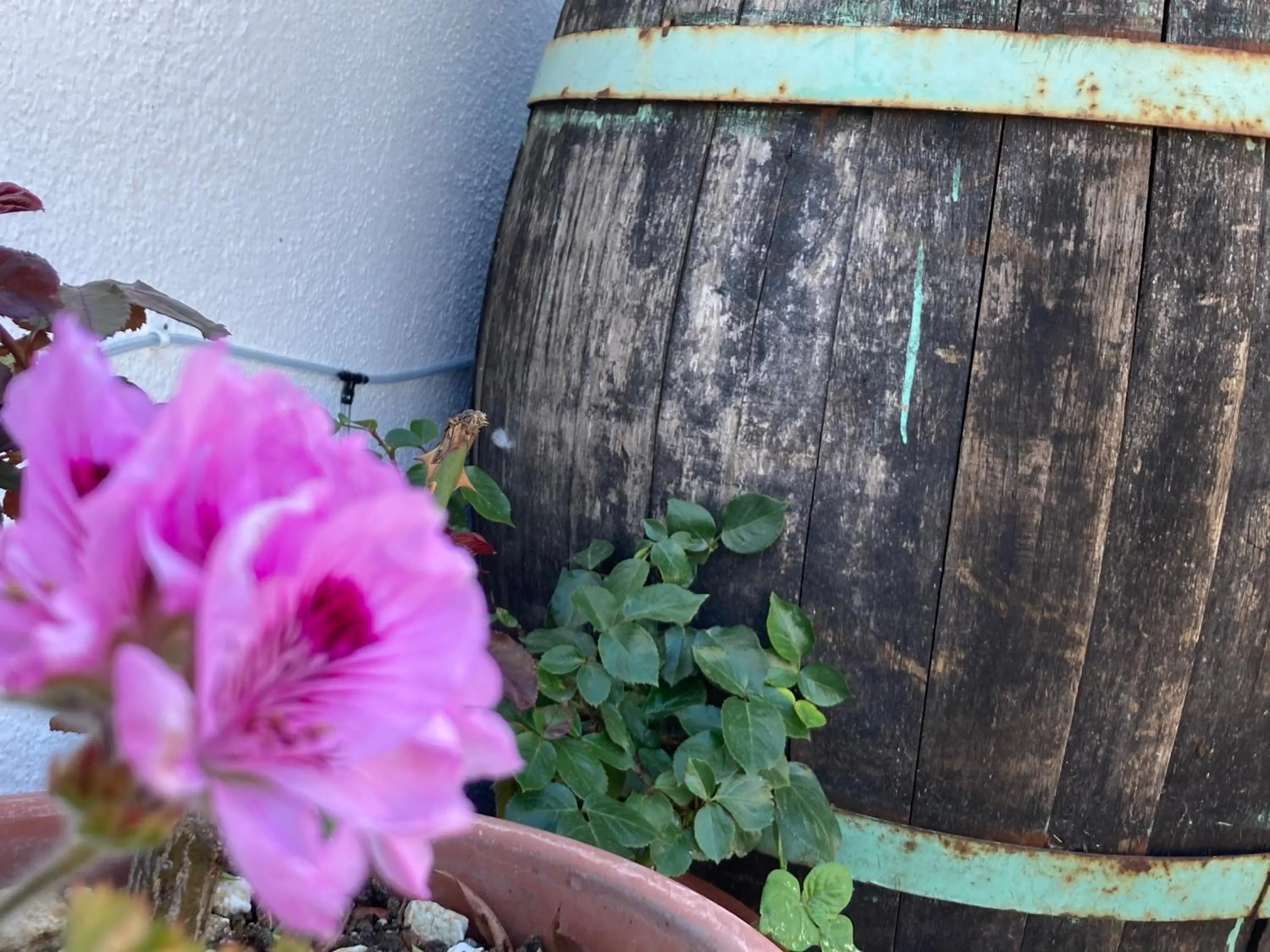 Solarium in Canduleri