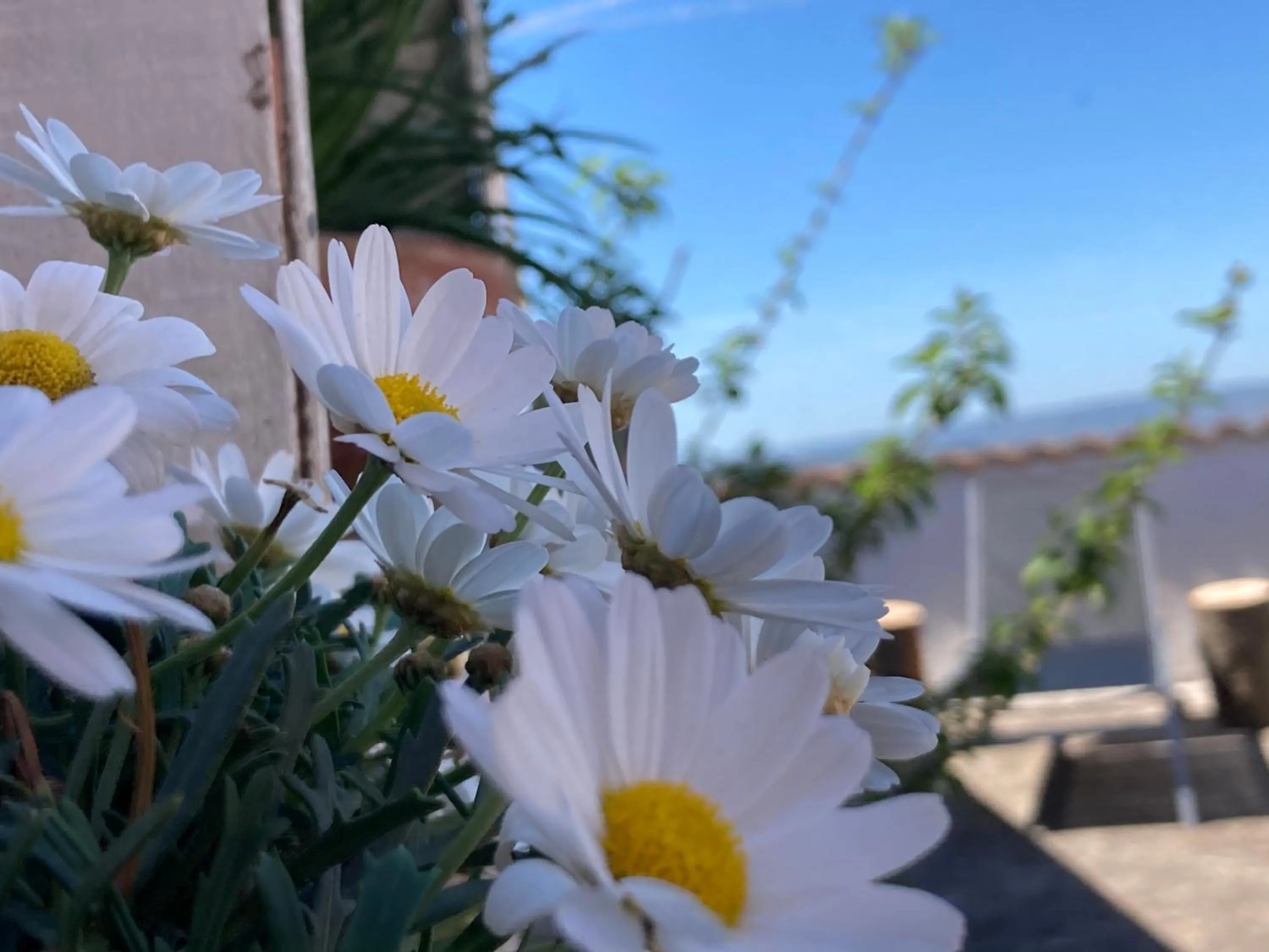 Solarium in Canduleri