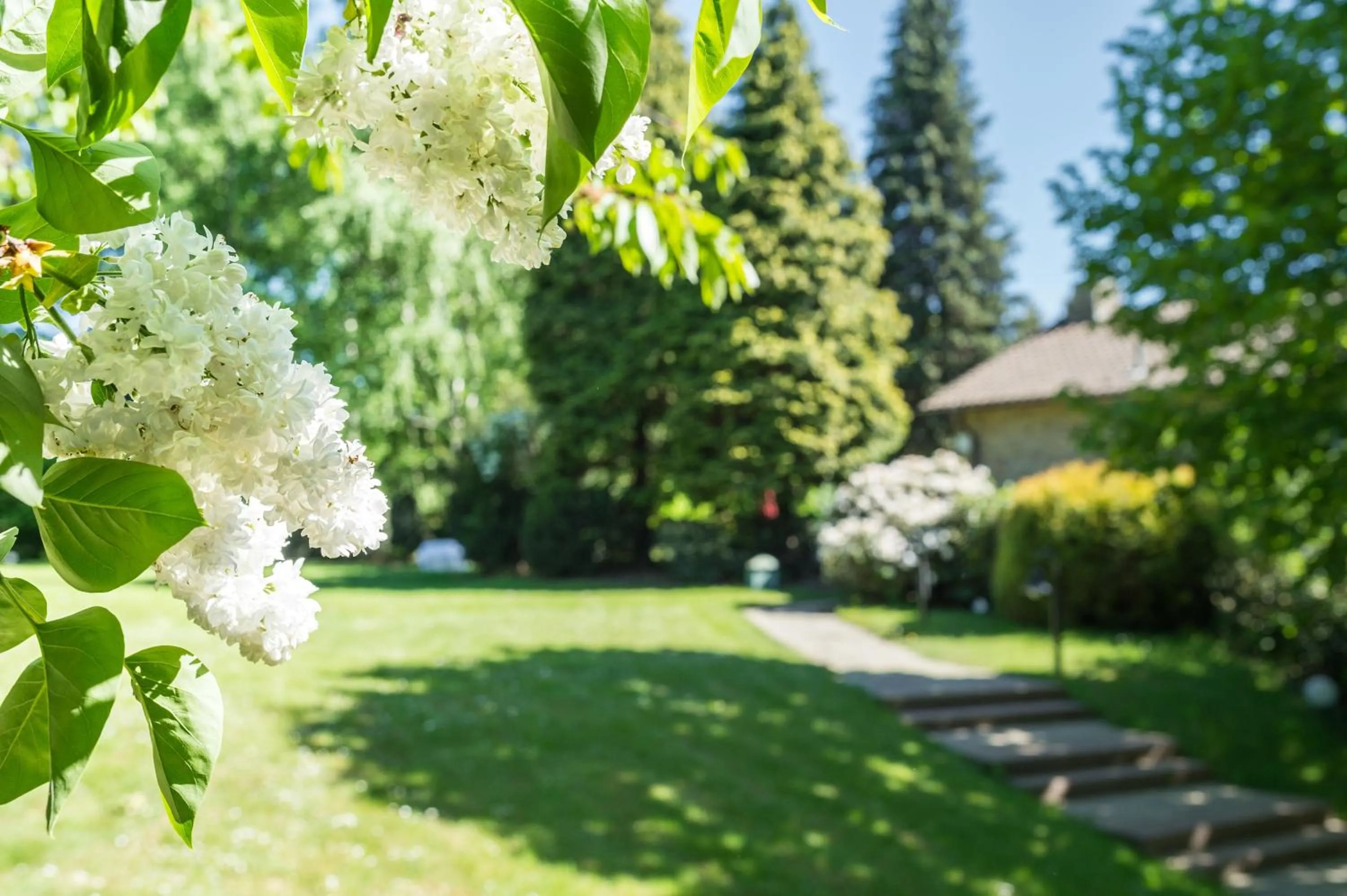 View (from property/room) in Parkhotel Stadtallendorf