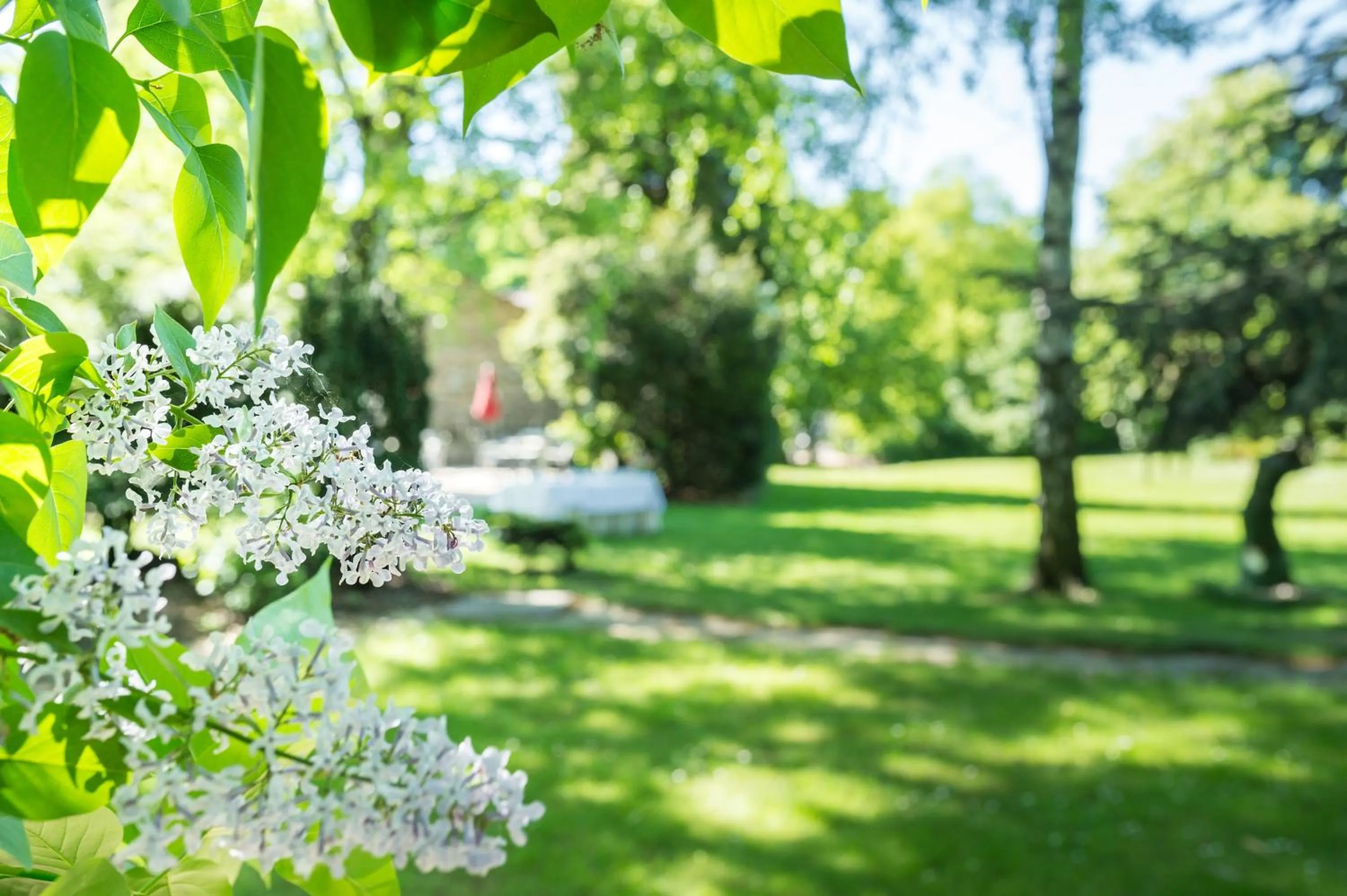 Garden in Parkhotel Stadtallendorf
