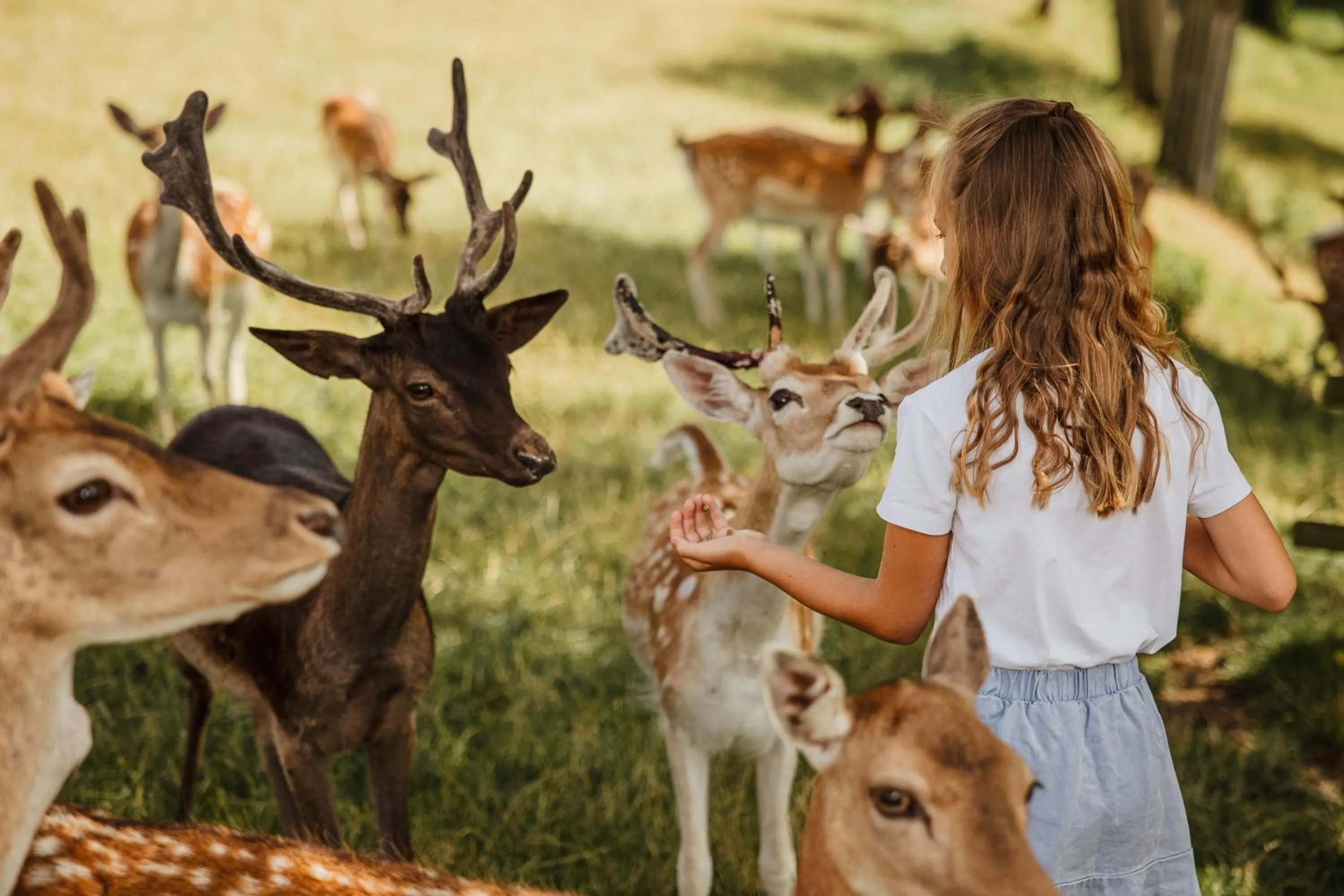 Animals in Natur- und Wohlfühlhotel Kastenholz