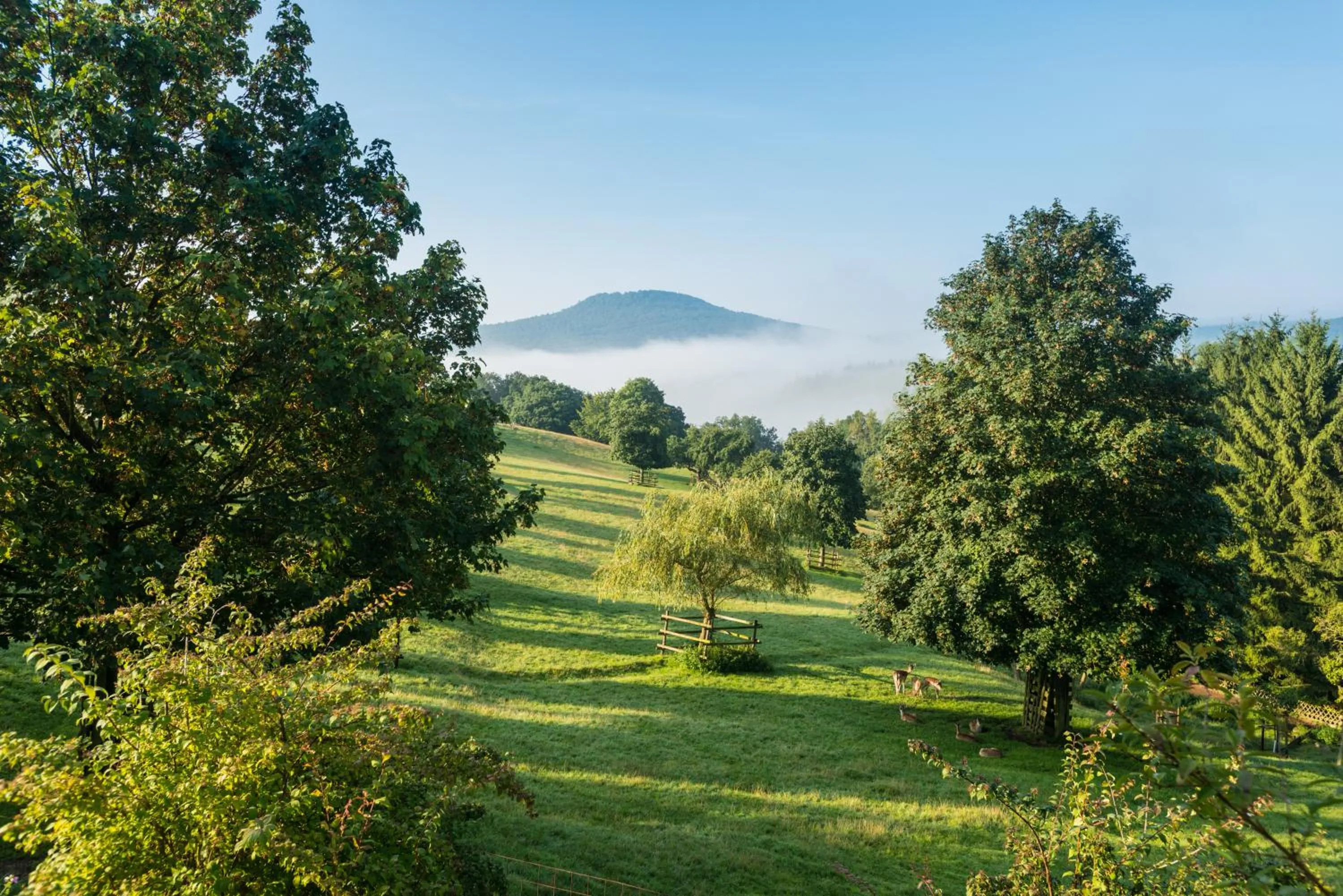 Garden in Natur- und Wohlfühlhotel Kastenholz
