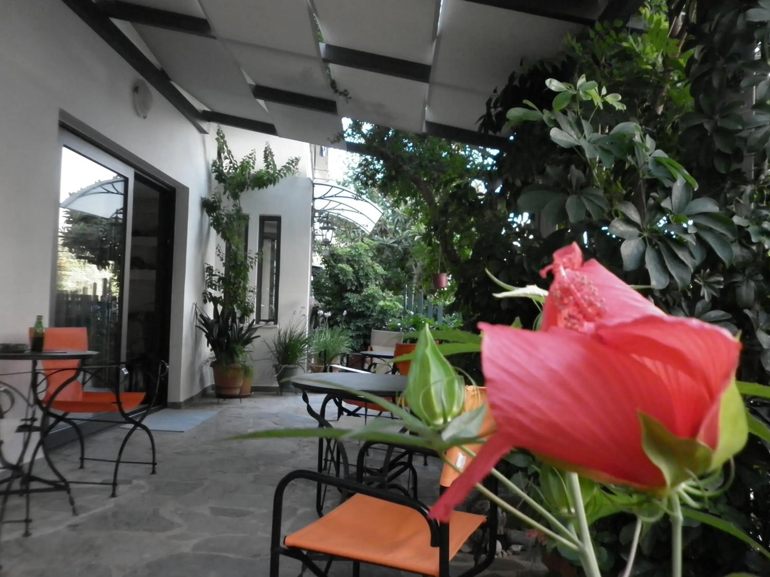 Balcony/Terrace in Hotel Ritsa