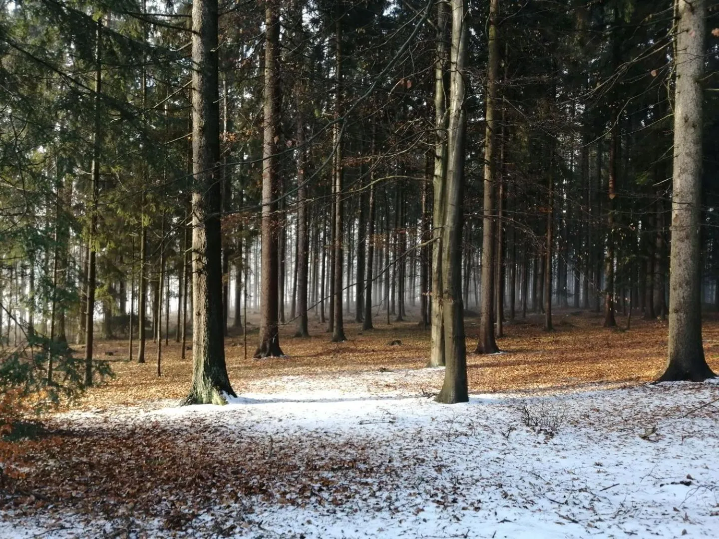 Activities in Hotel Chytrov