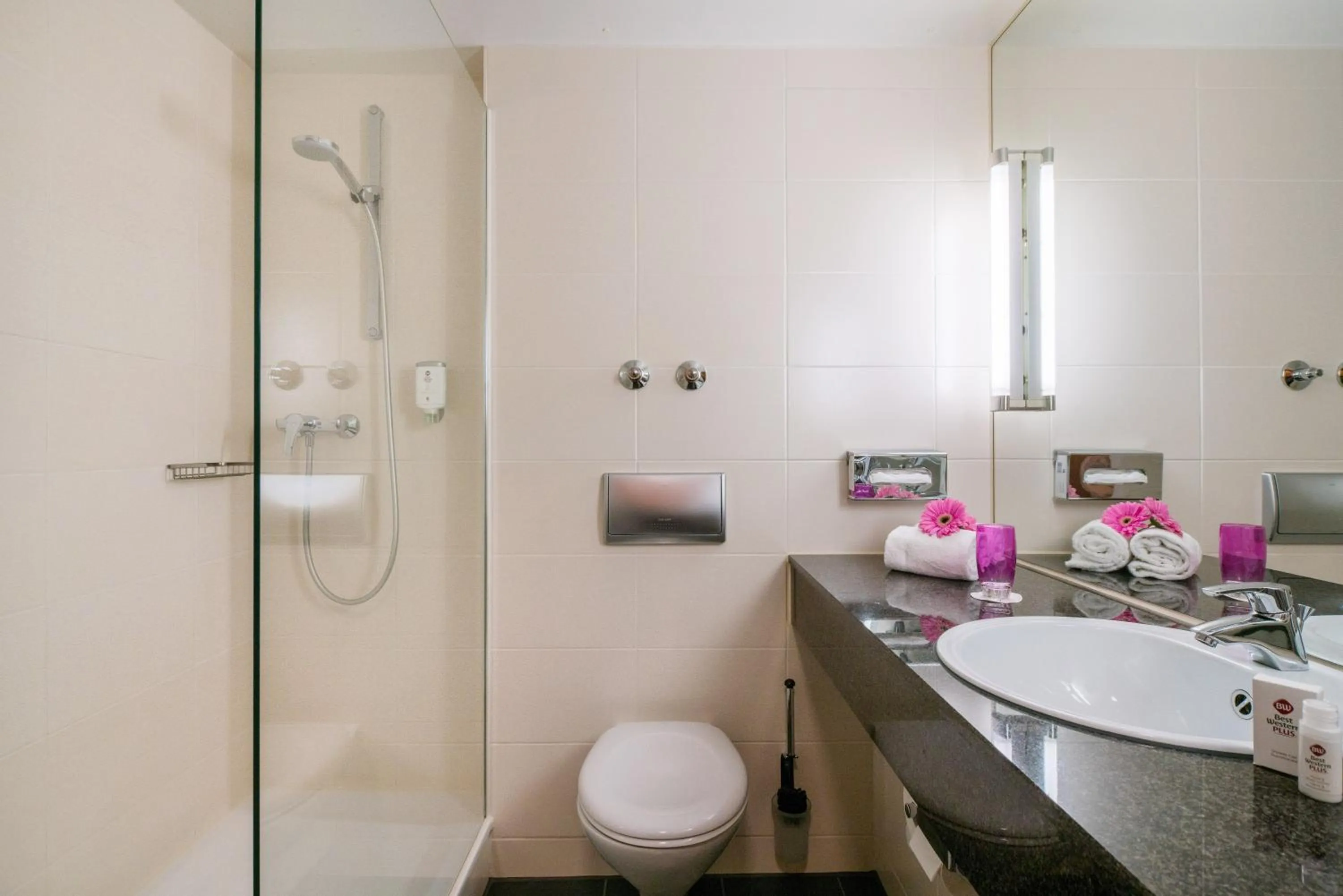 Toilet in Best Western Plus Hotel Fellbach-Stuttgart